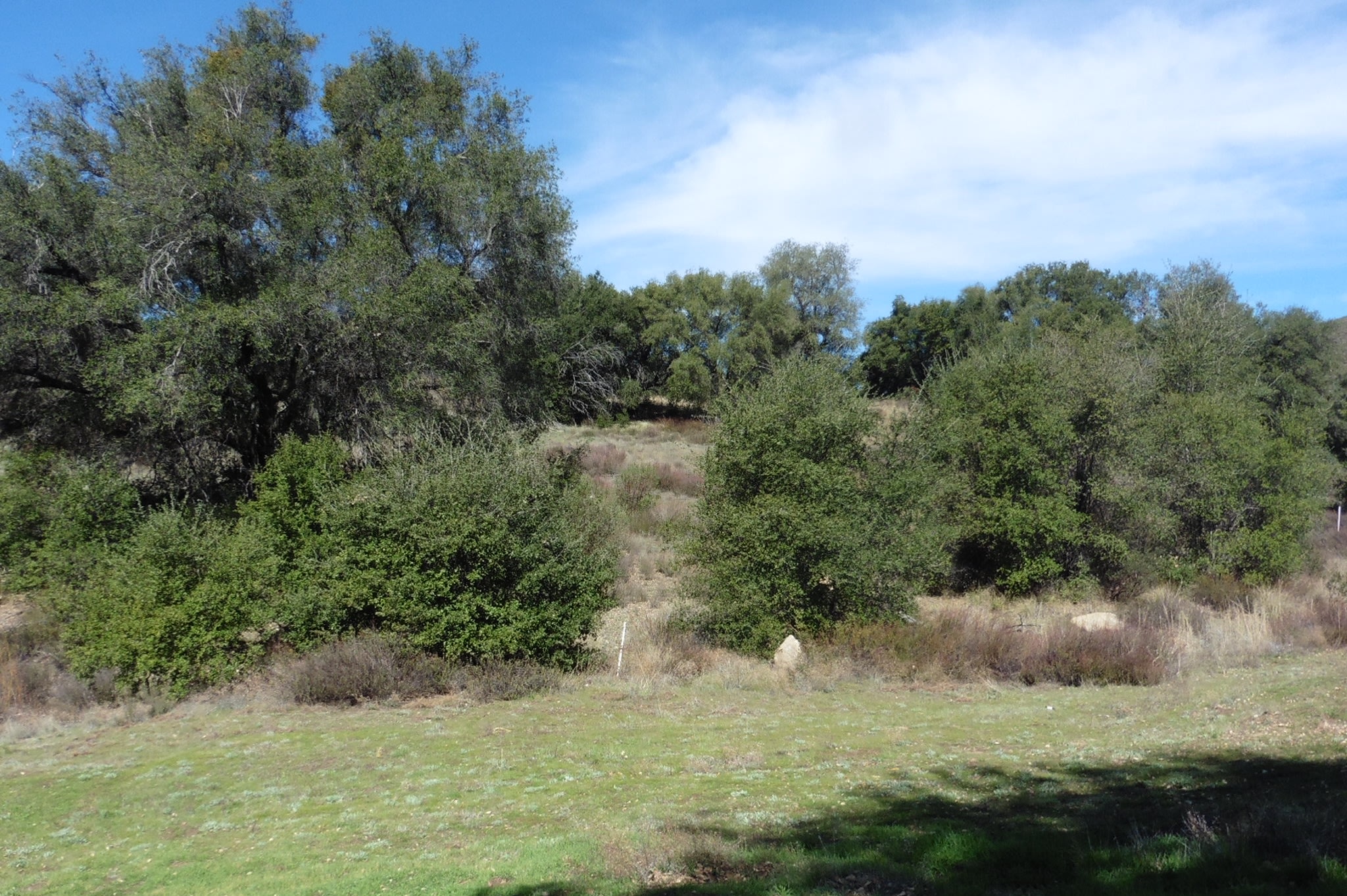 Tent Site  (No Shade)
