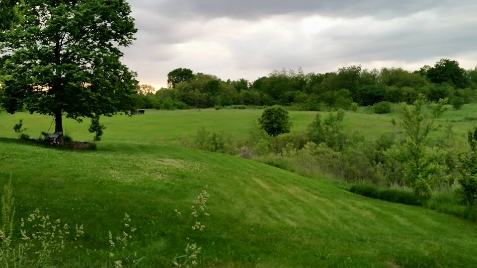Our back yard