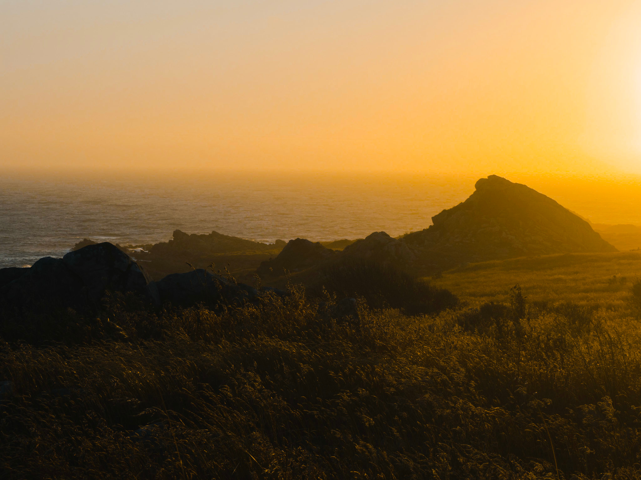 Golden Hour, Salt Point State Park