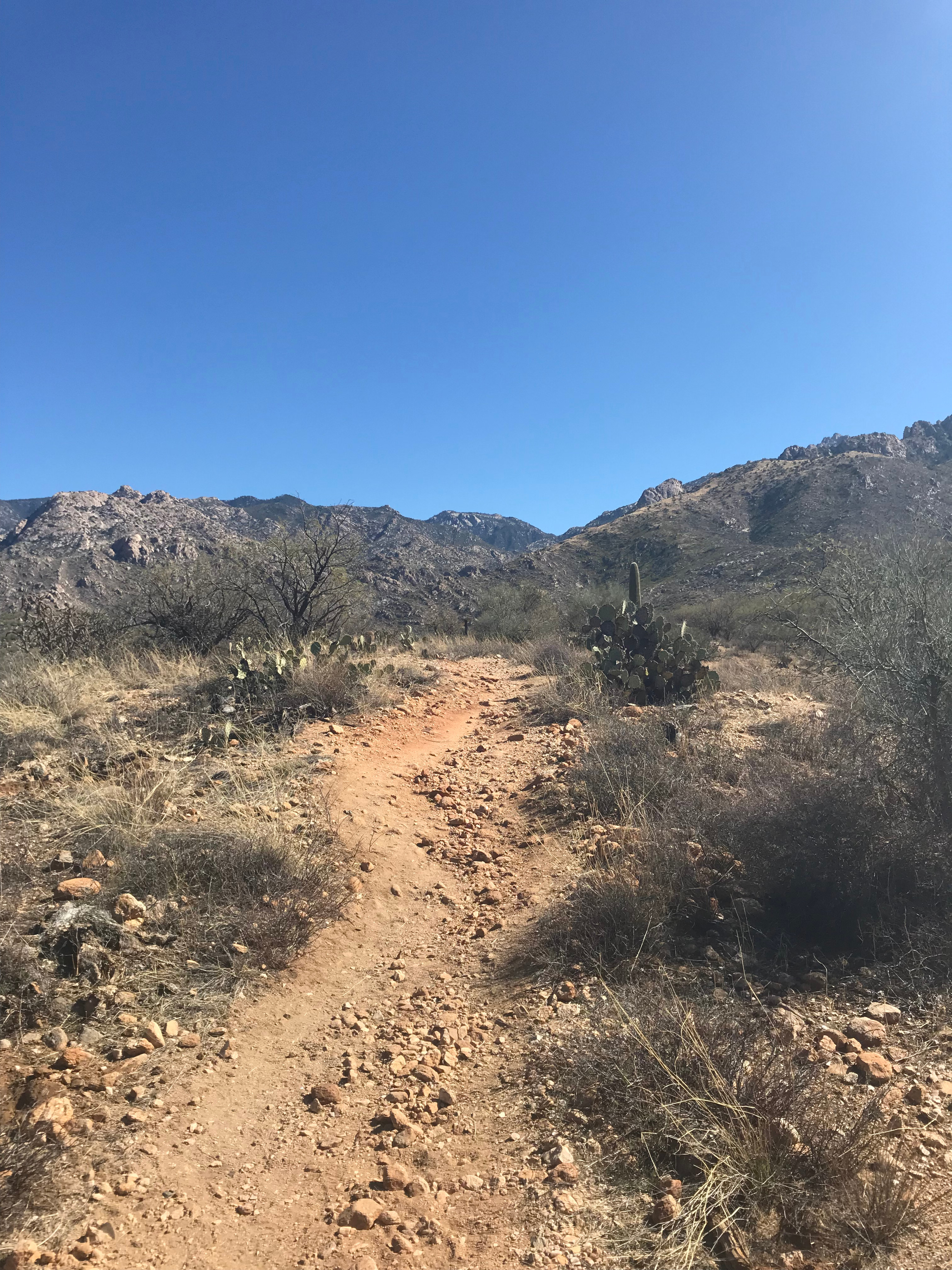 Catalina State Park