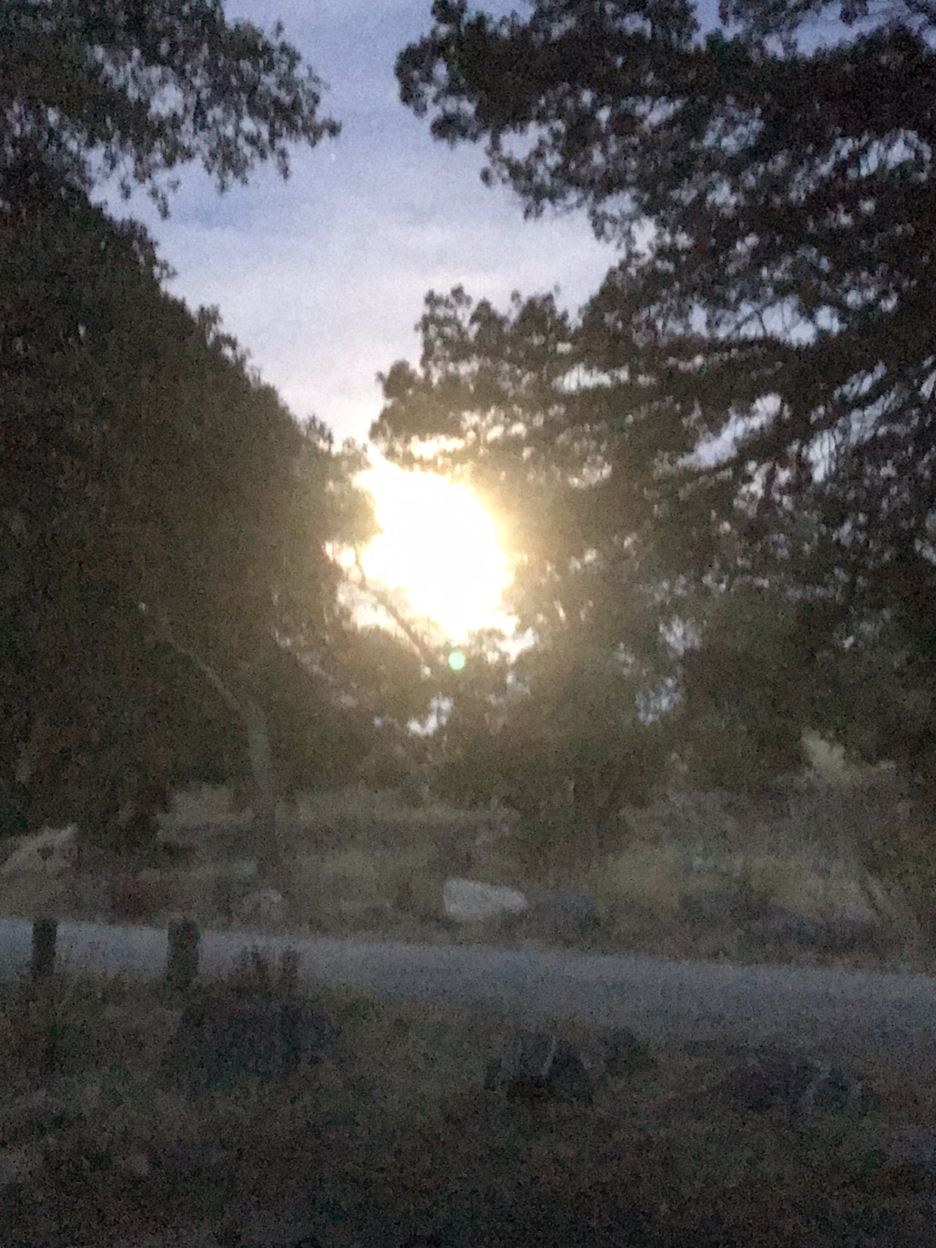 Gordon Hirabayashi Campground