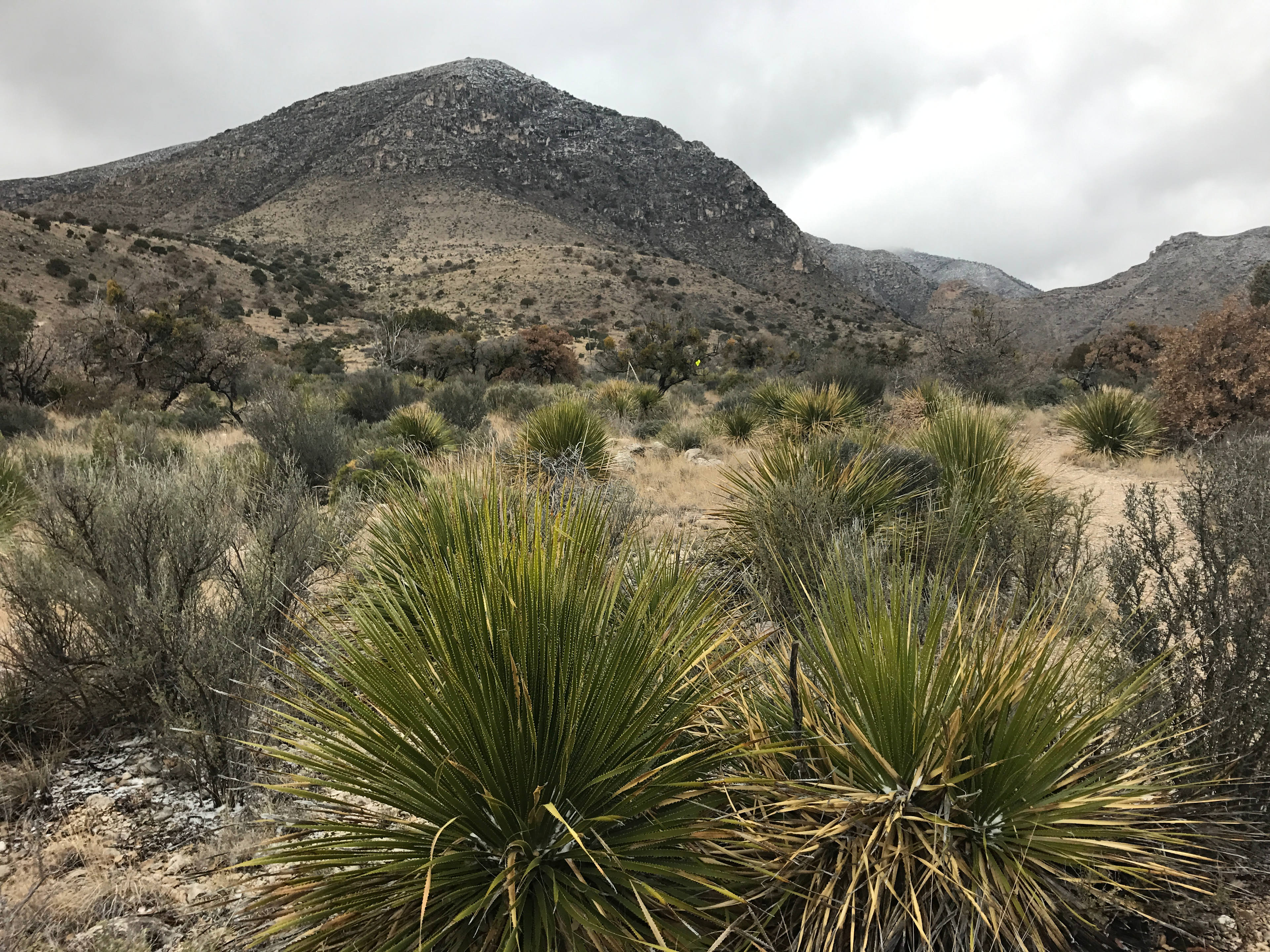 Pine Springs Campground