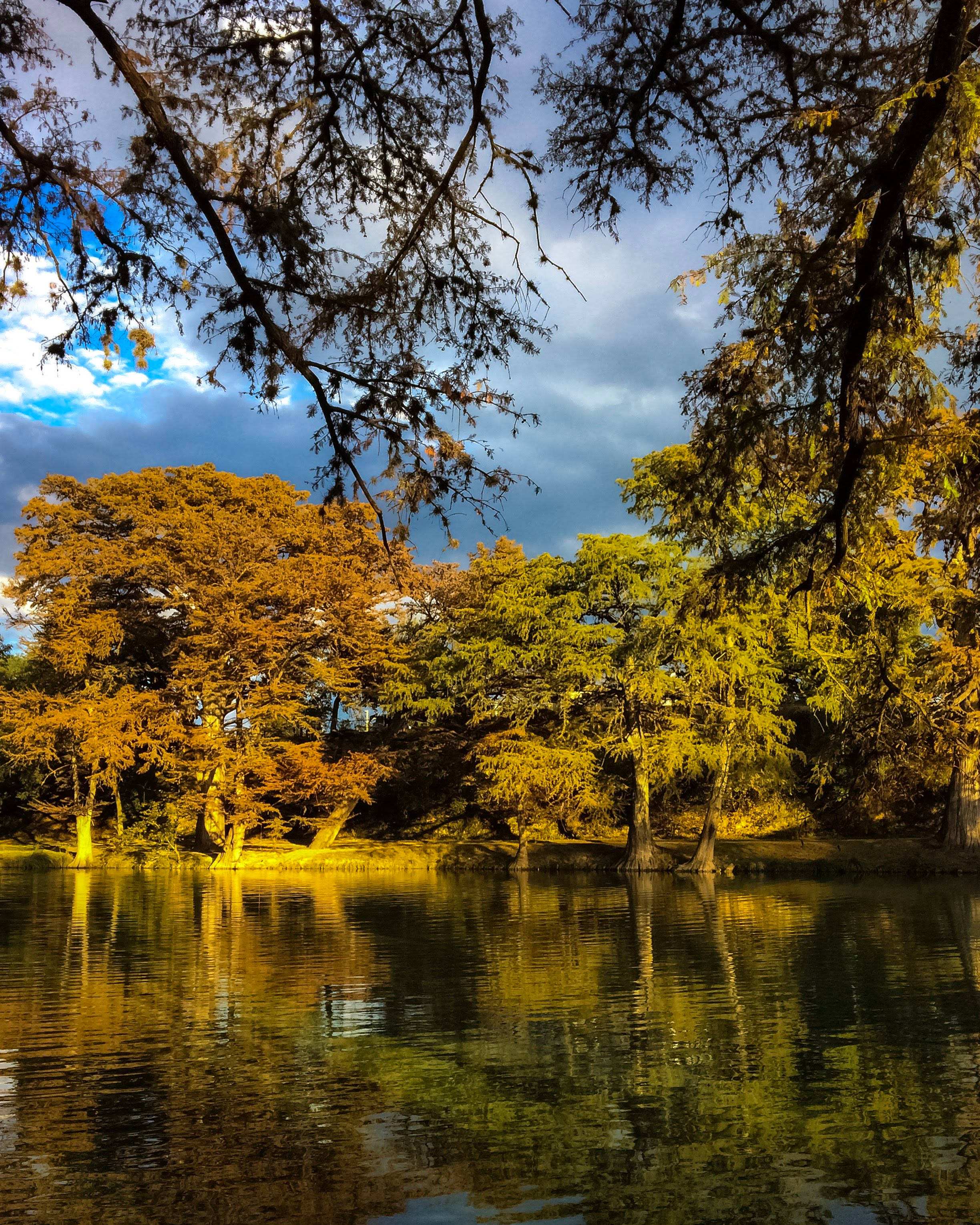 The edge of the Frio River