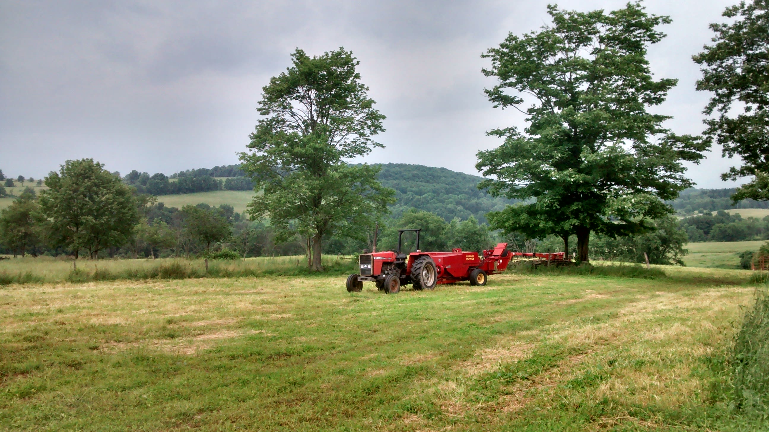 Wahl Dairy Farm.  Hilltop Campsite