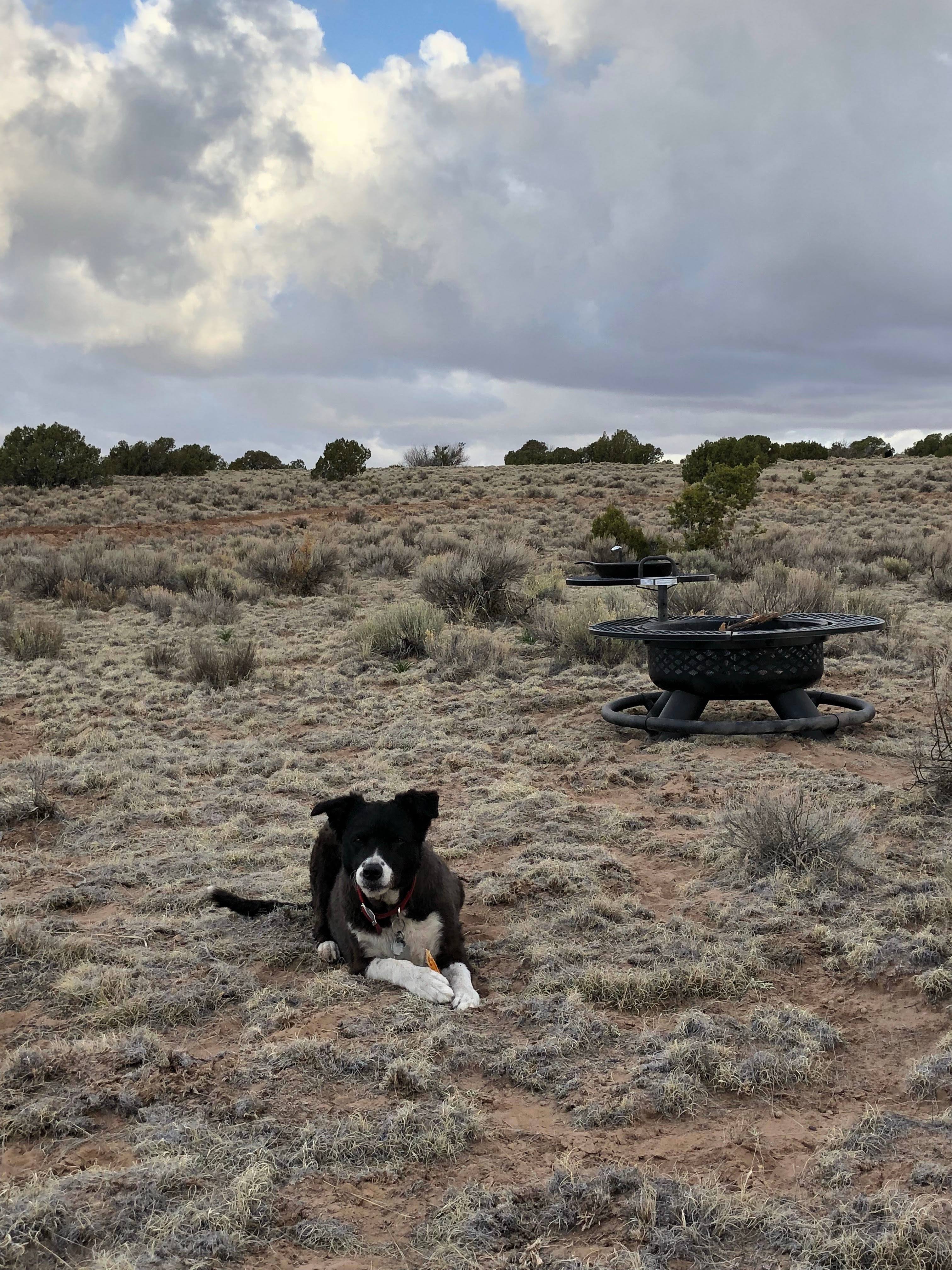 Camp Mascot (Kanga) waiting for campers.