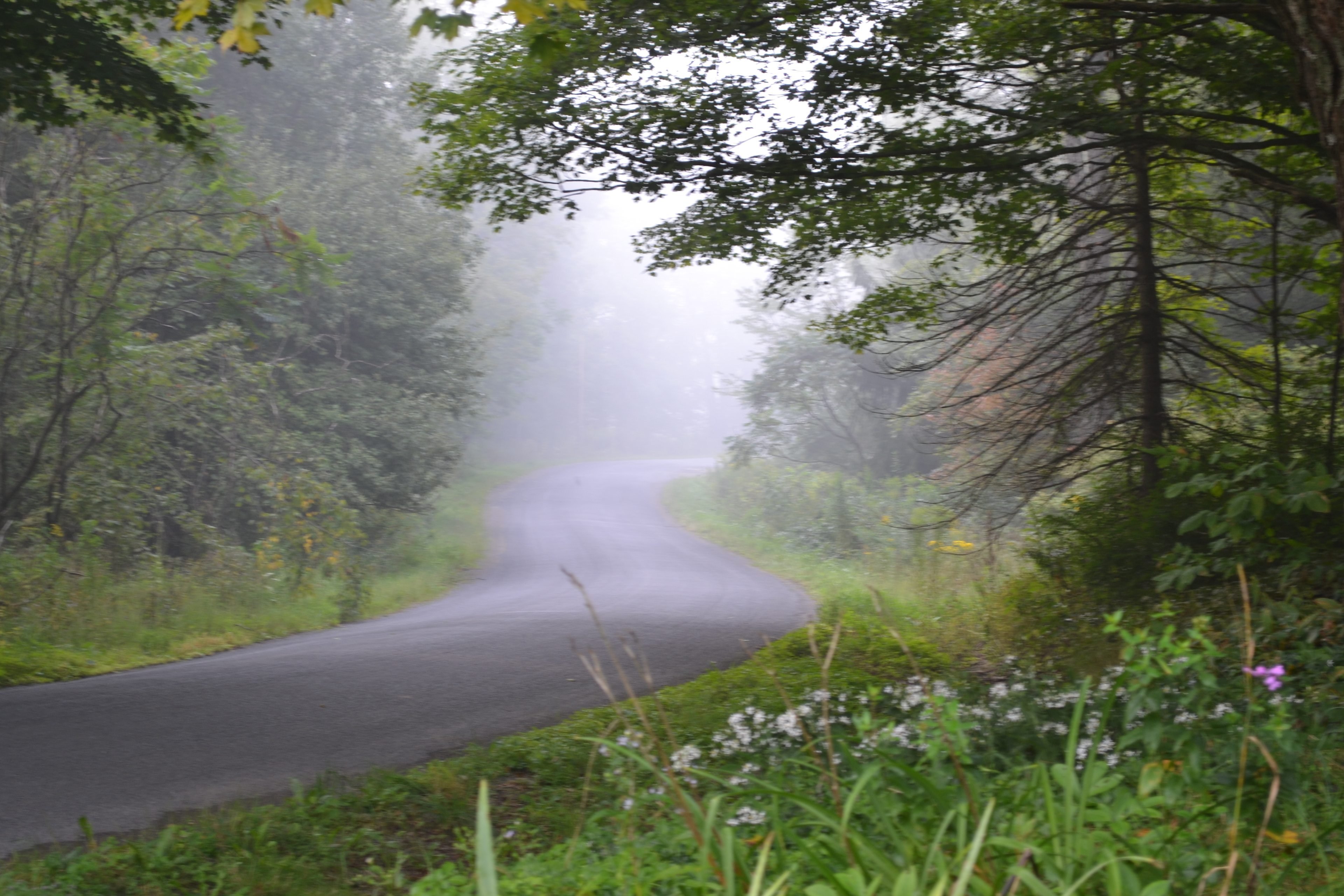 Country roads...