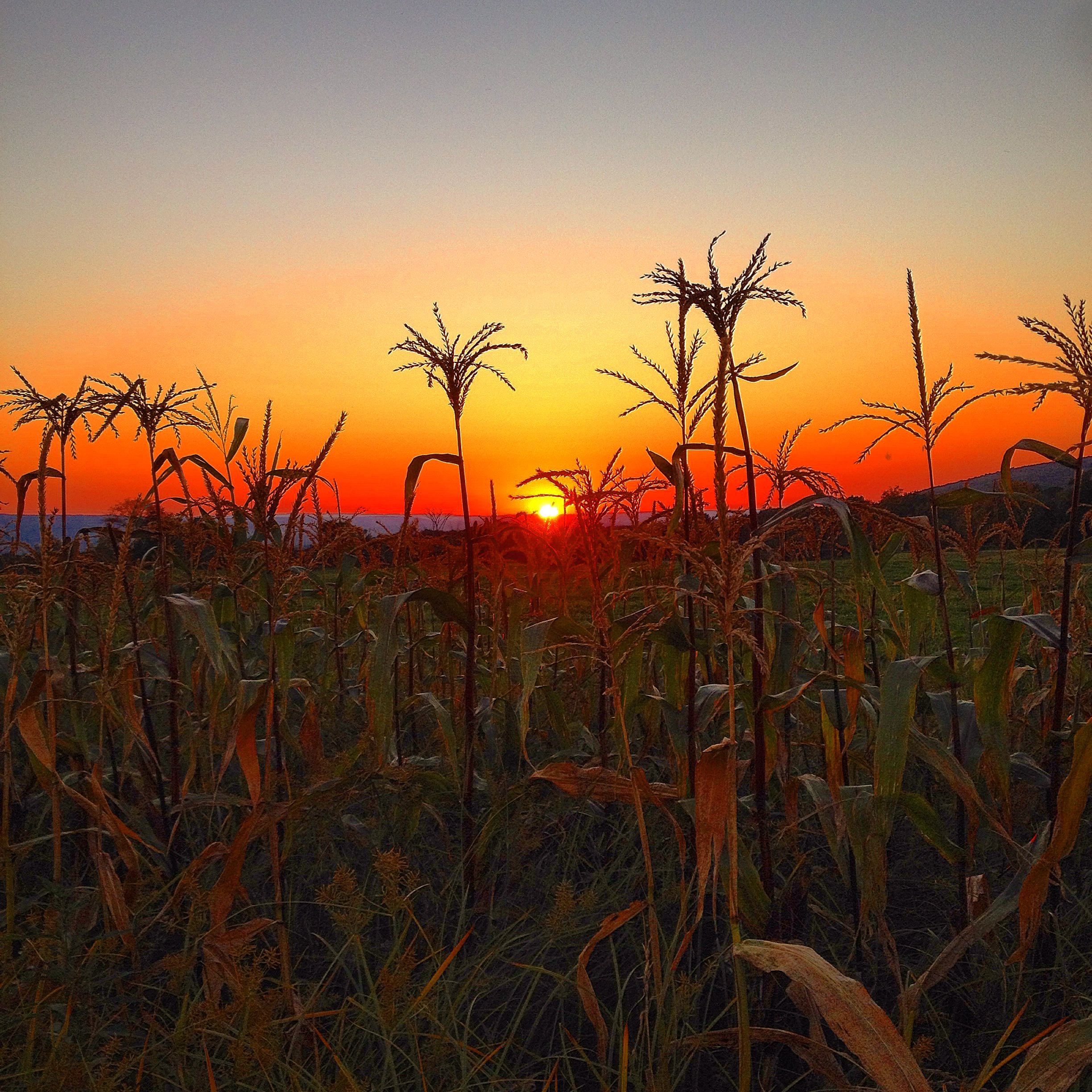 enjoy our beautiful sunsets that over look the Mohawk Valley