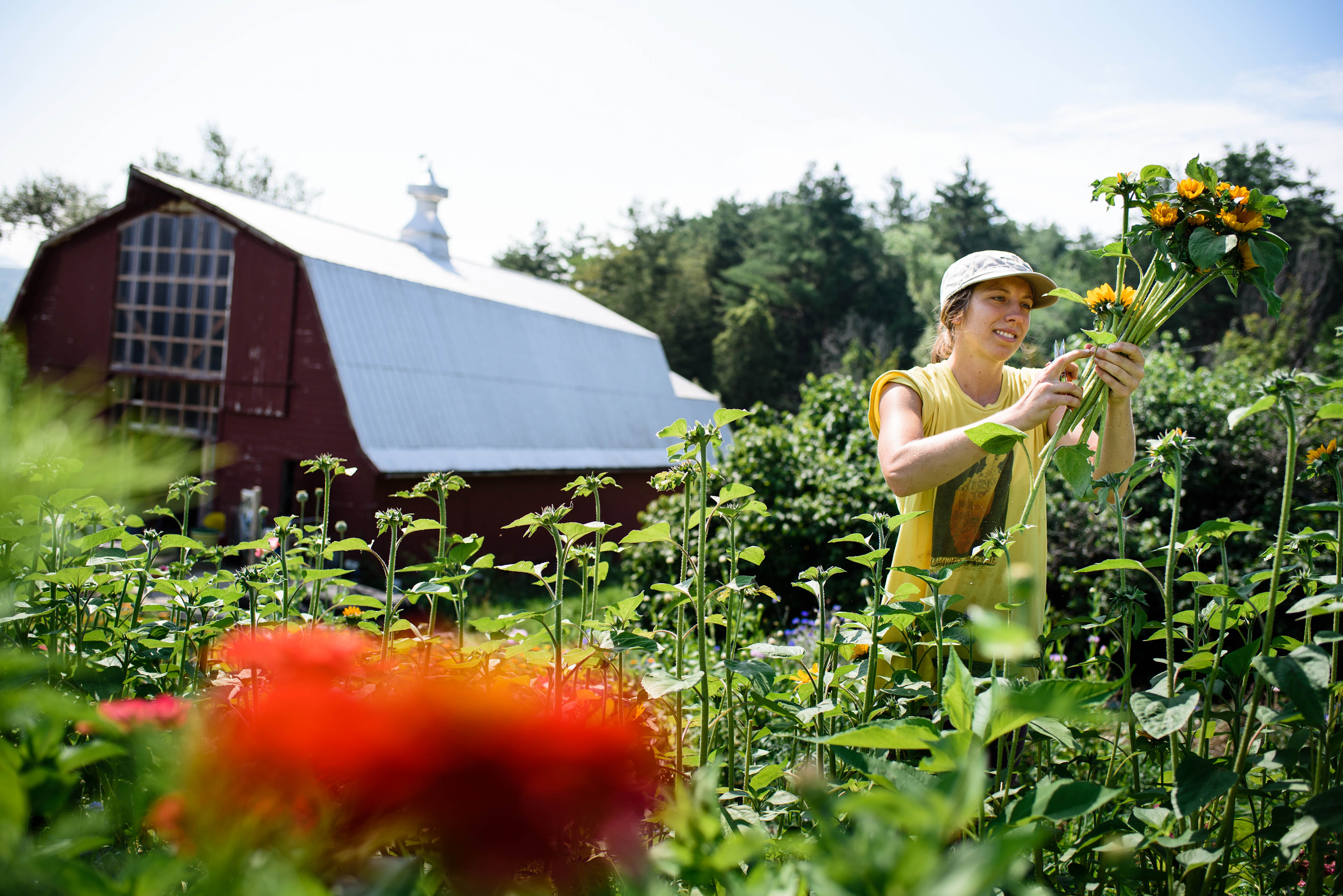 cozy yurt in the woods