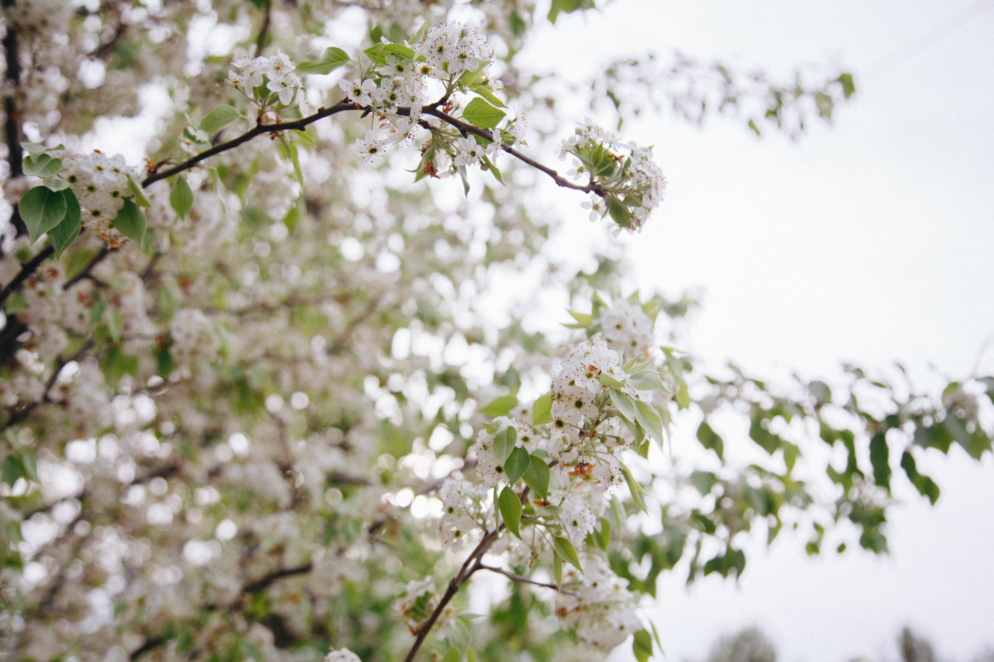 Private Campground in Wine Country