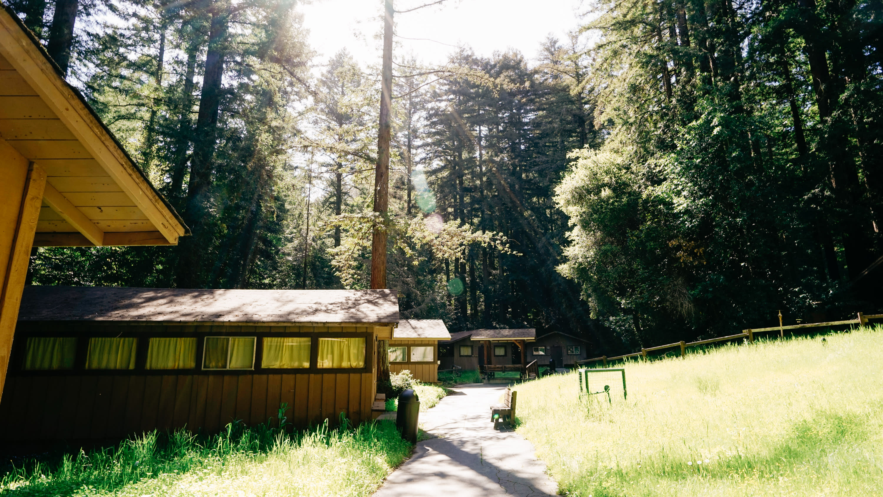 Redwood Rain Forest Camp