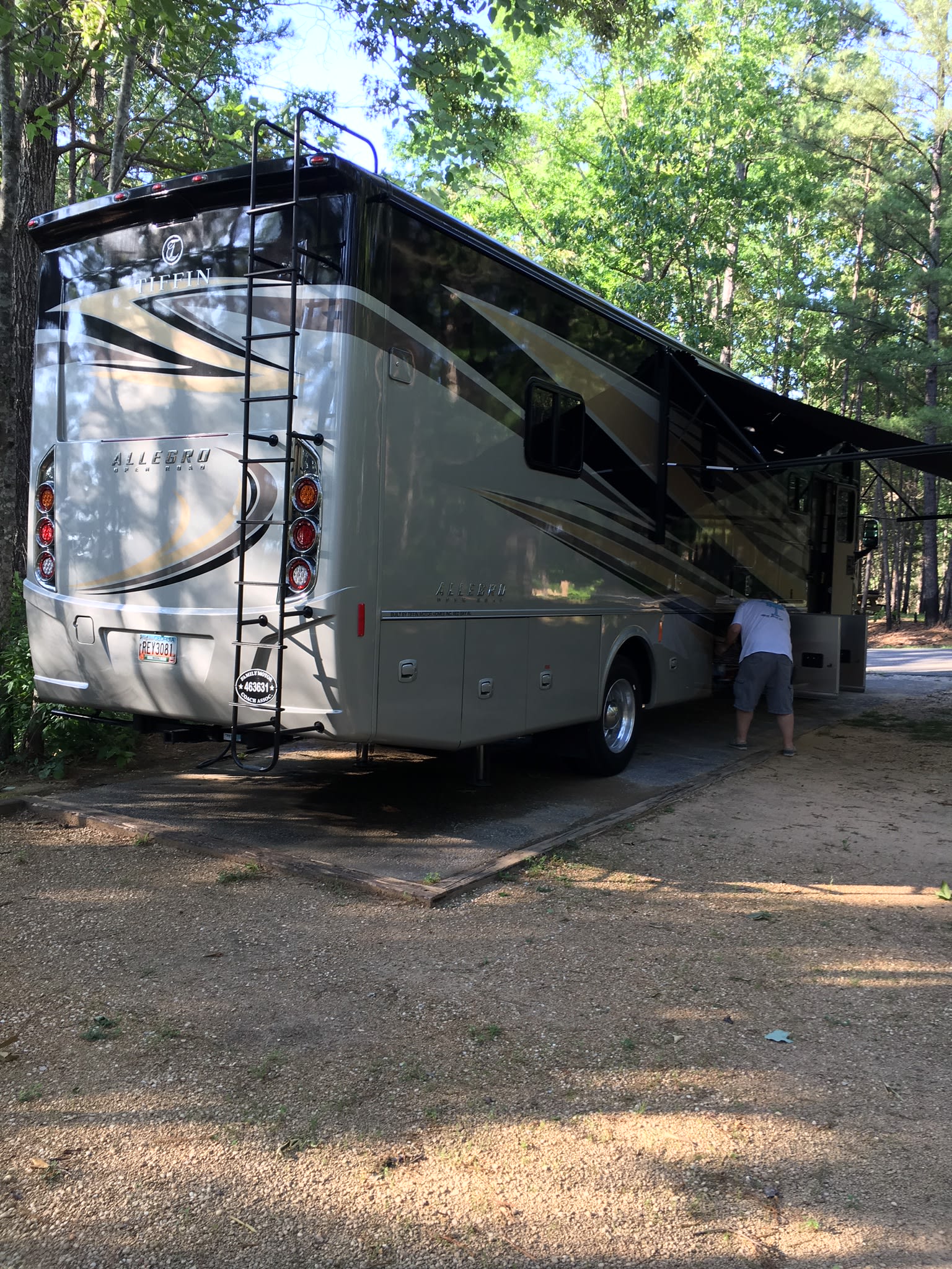 Bankhead National Forest