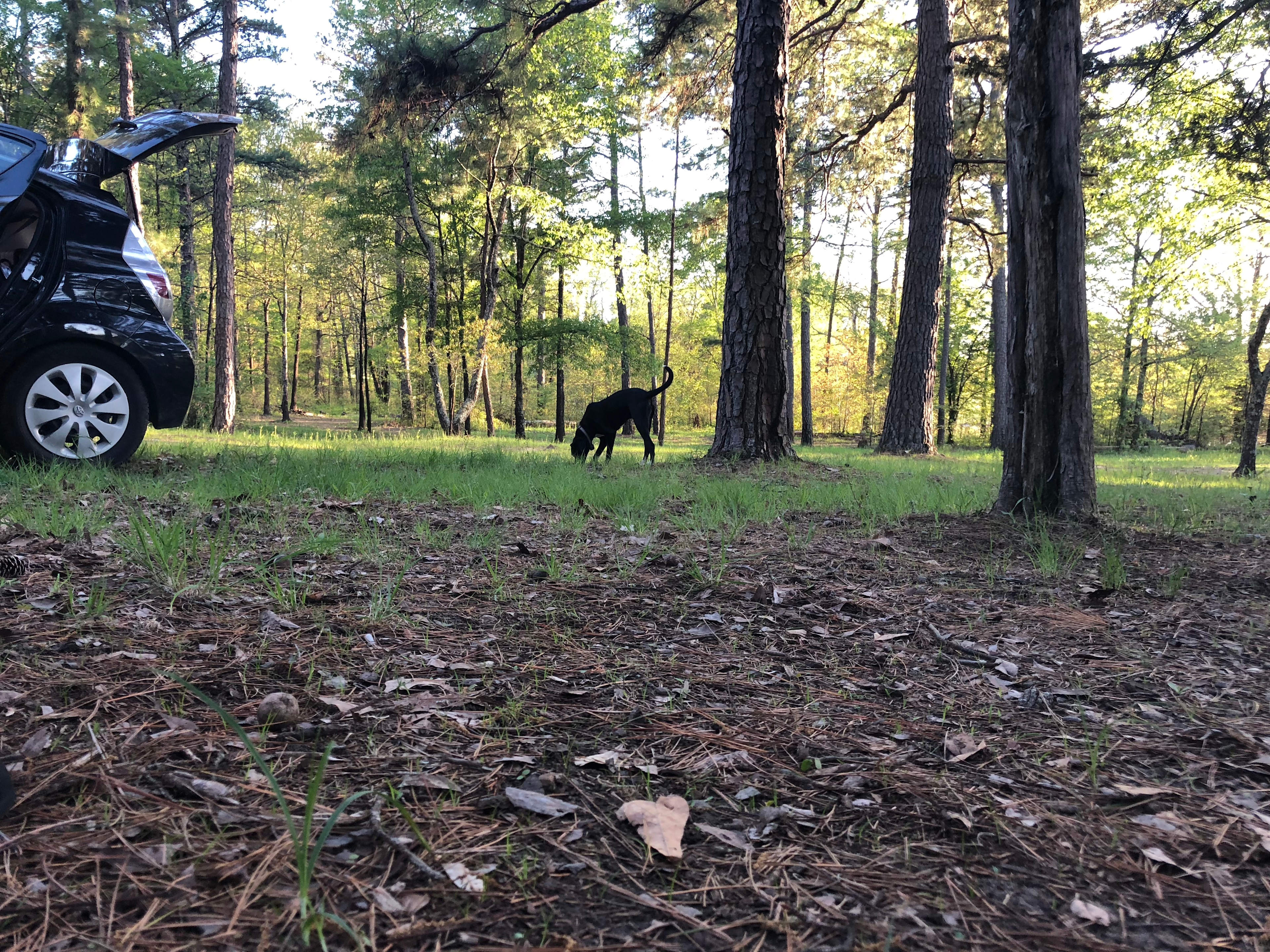 Pinnacle Springs Recreational Park