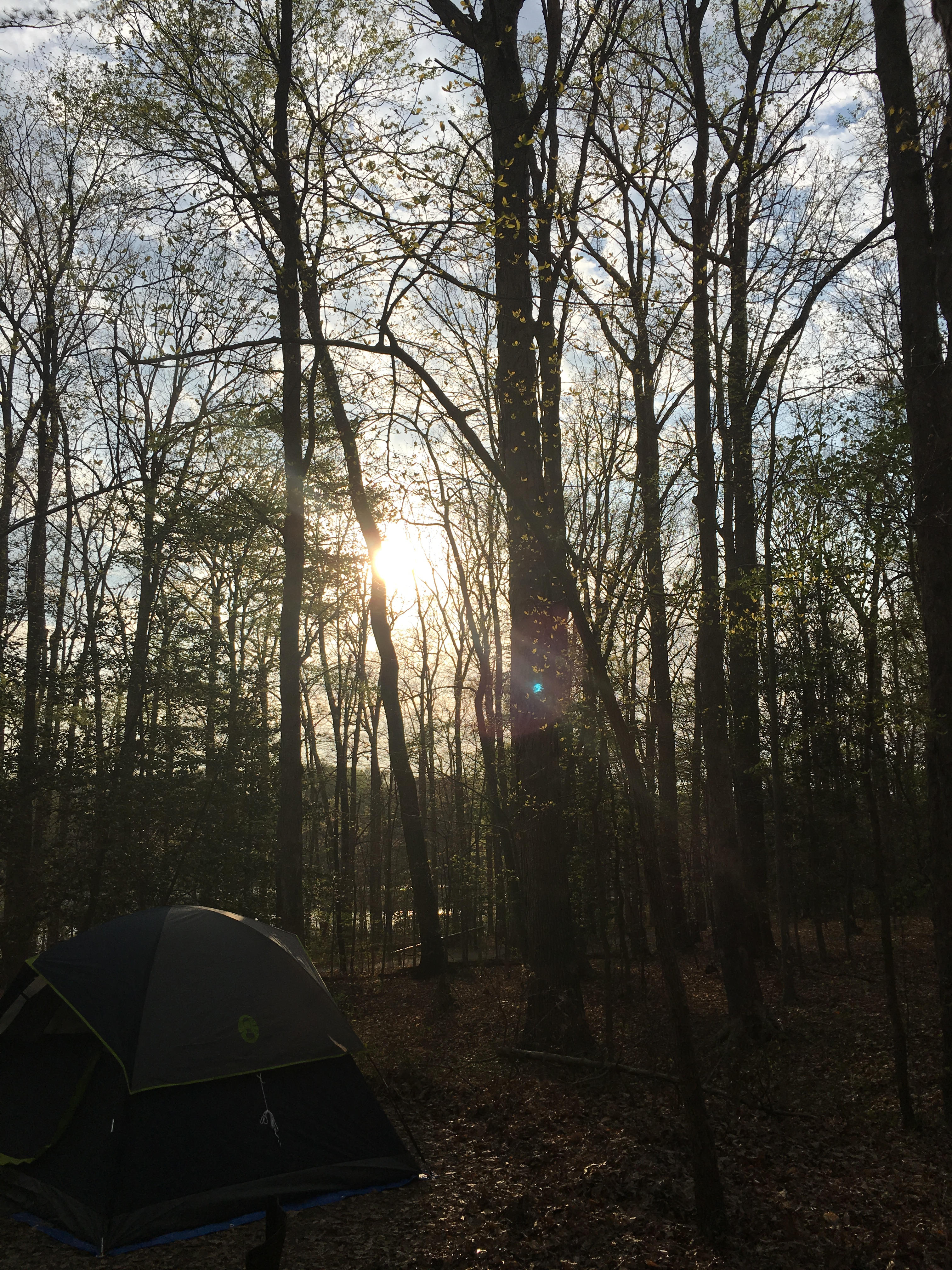 Burke Lake Recreation Area