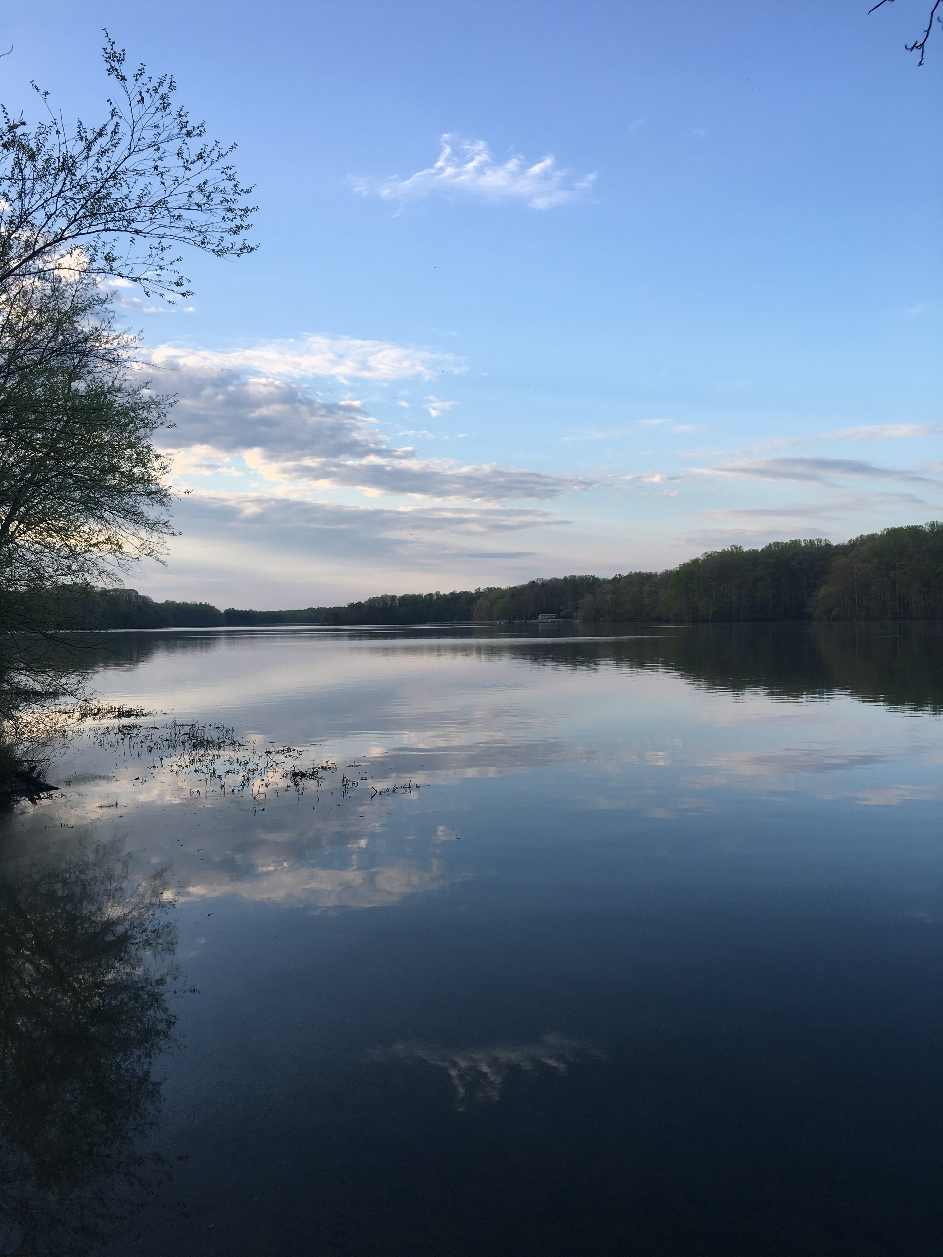Burke Lake Campground