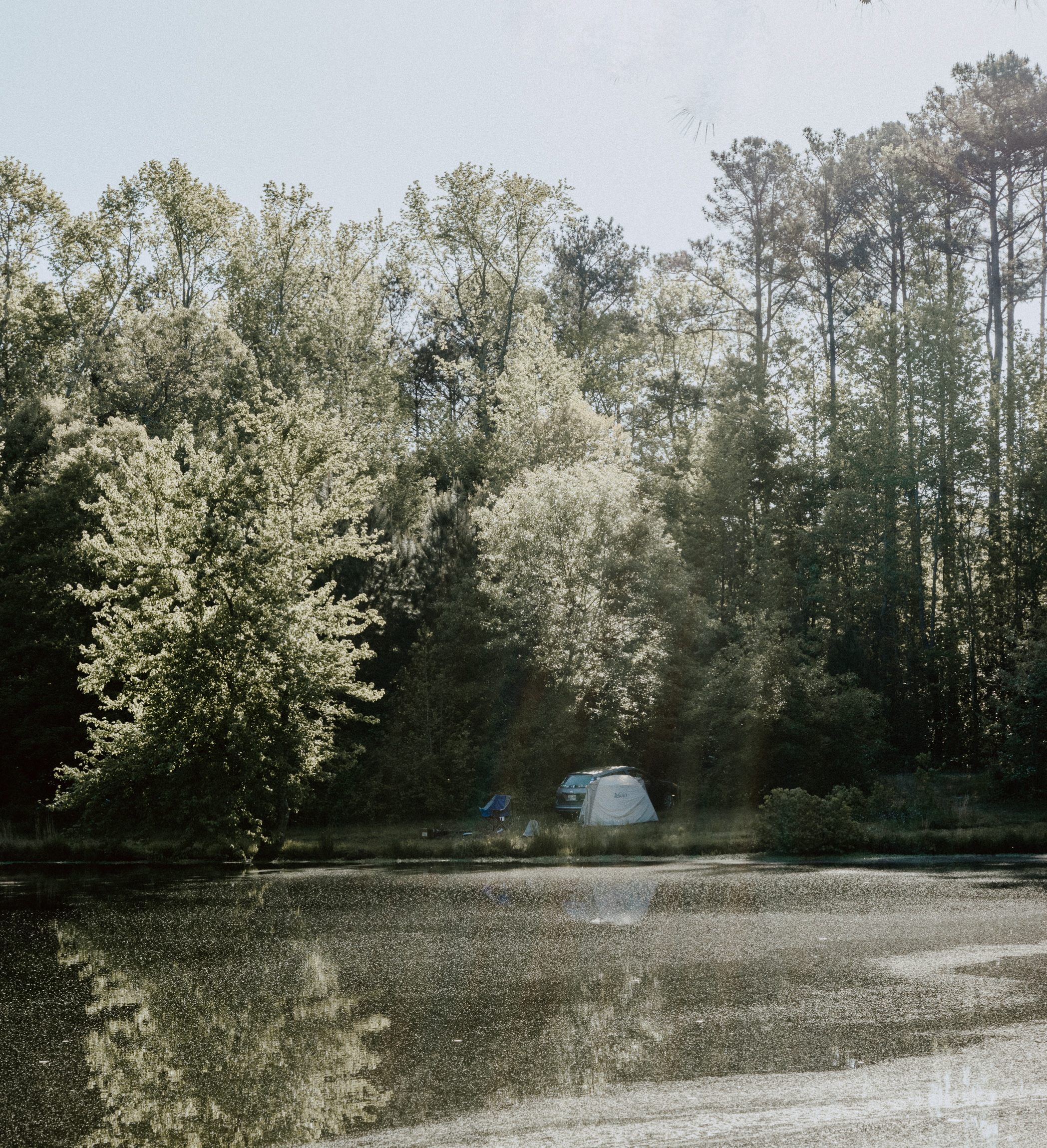 There's ton of camping spot opportunity's!  