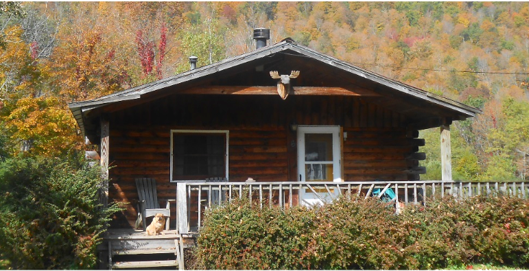 One of our rustic wood cabins to stay in
