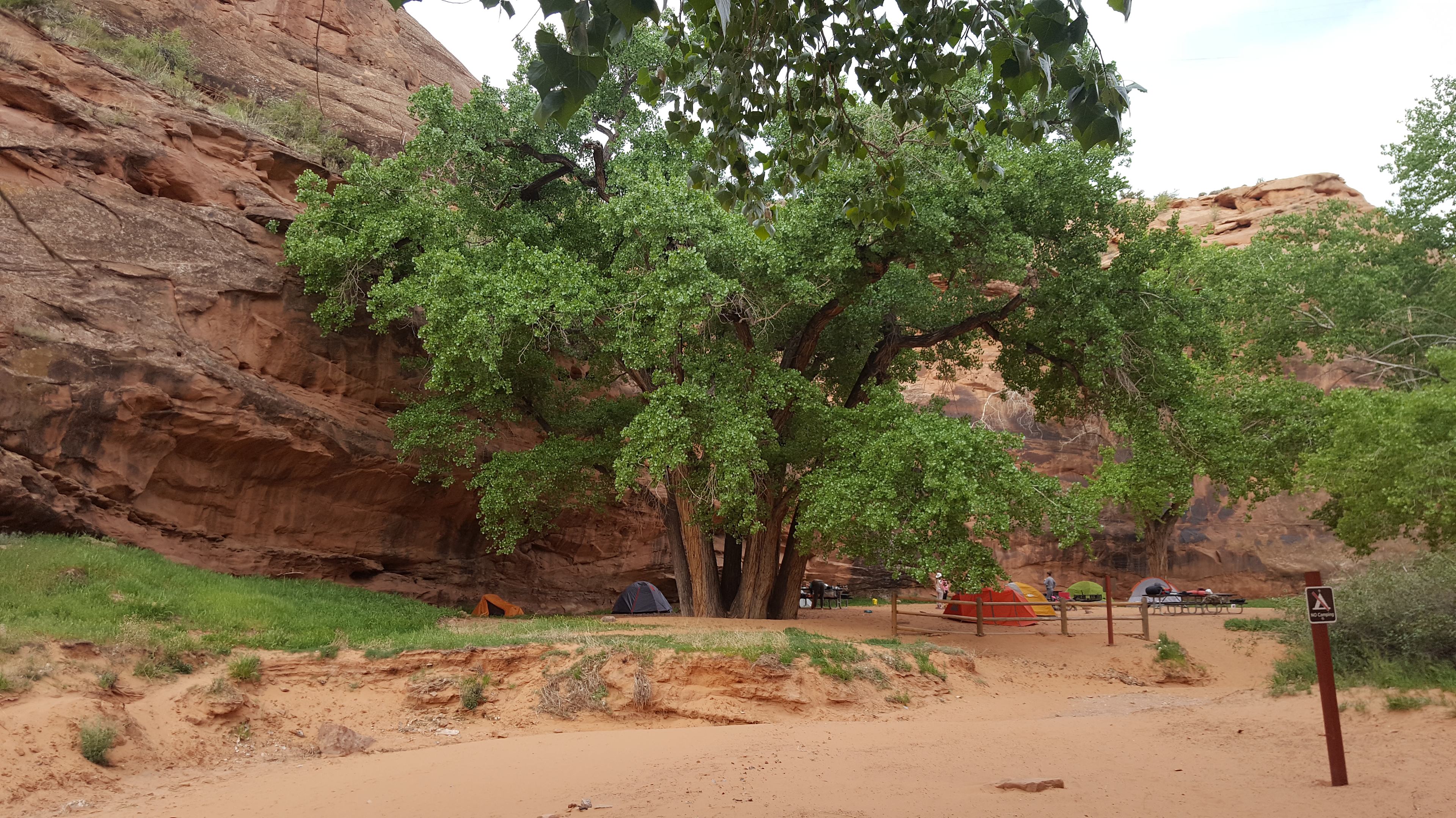 Moonflower Camping Area