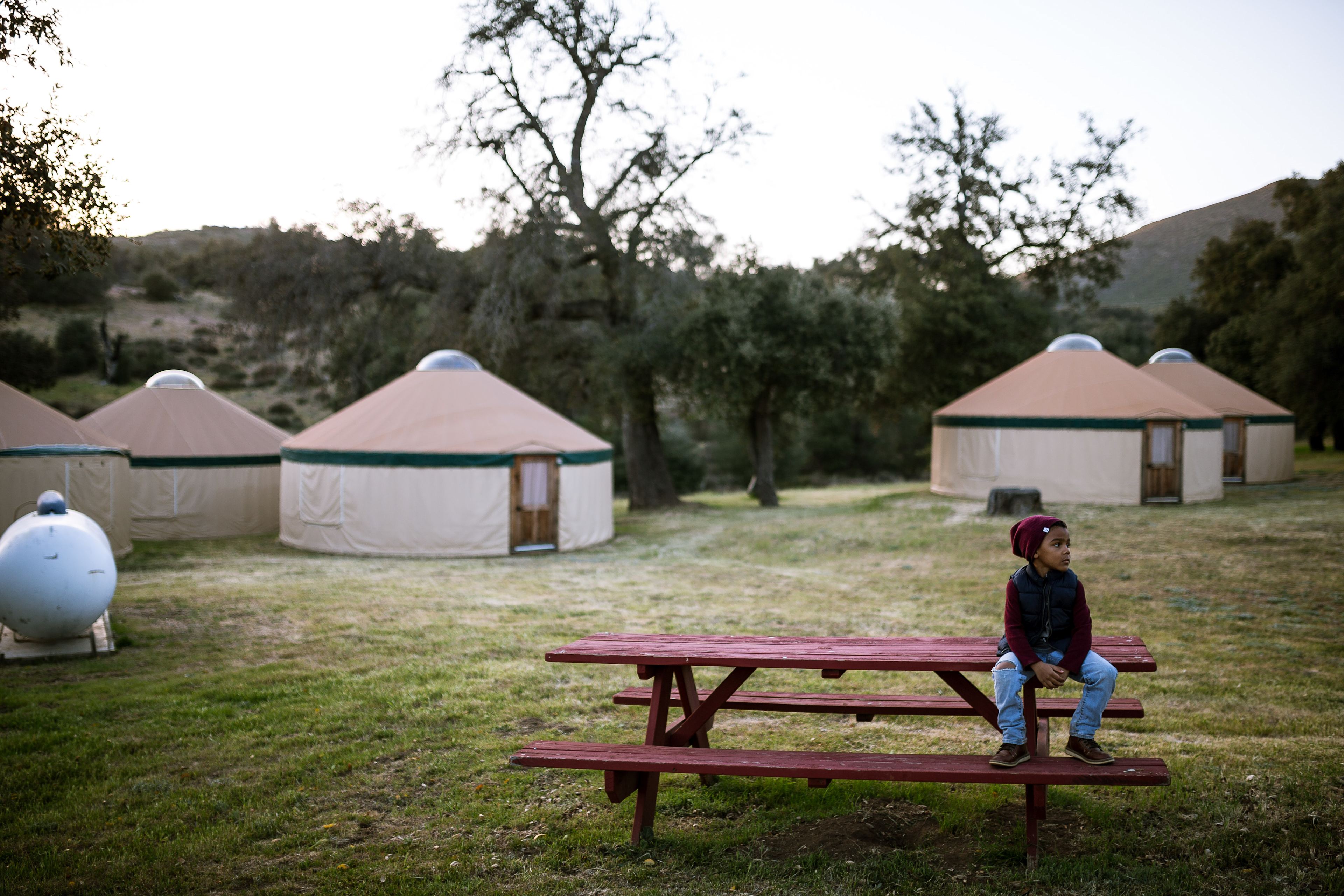 Peaceful evening at Stallion Oaks