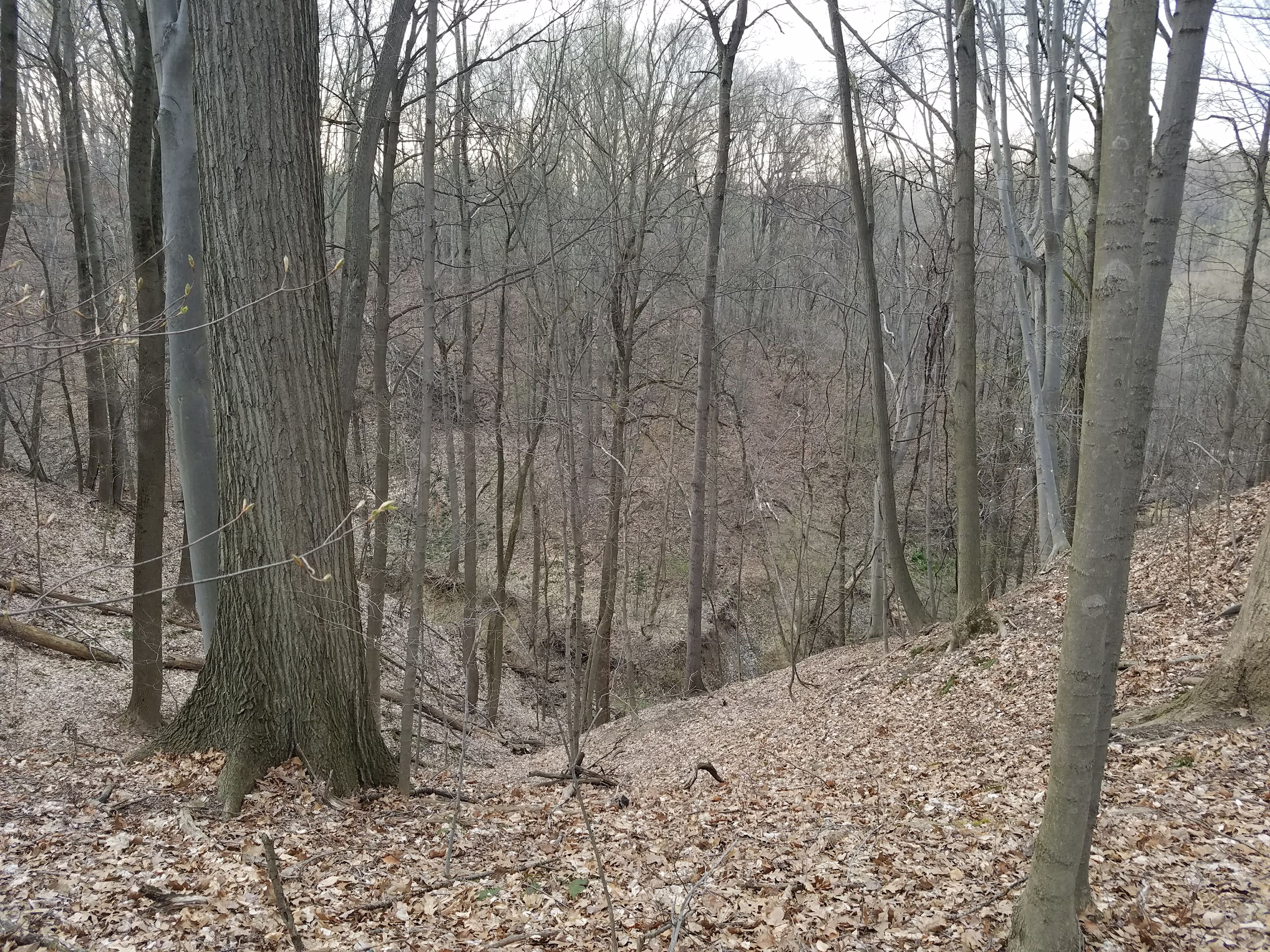 Acres of land overlooking ravine