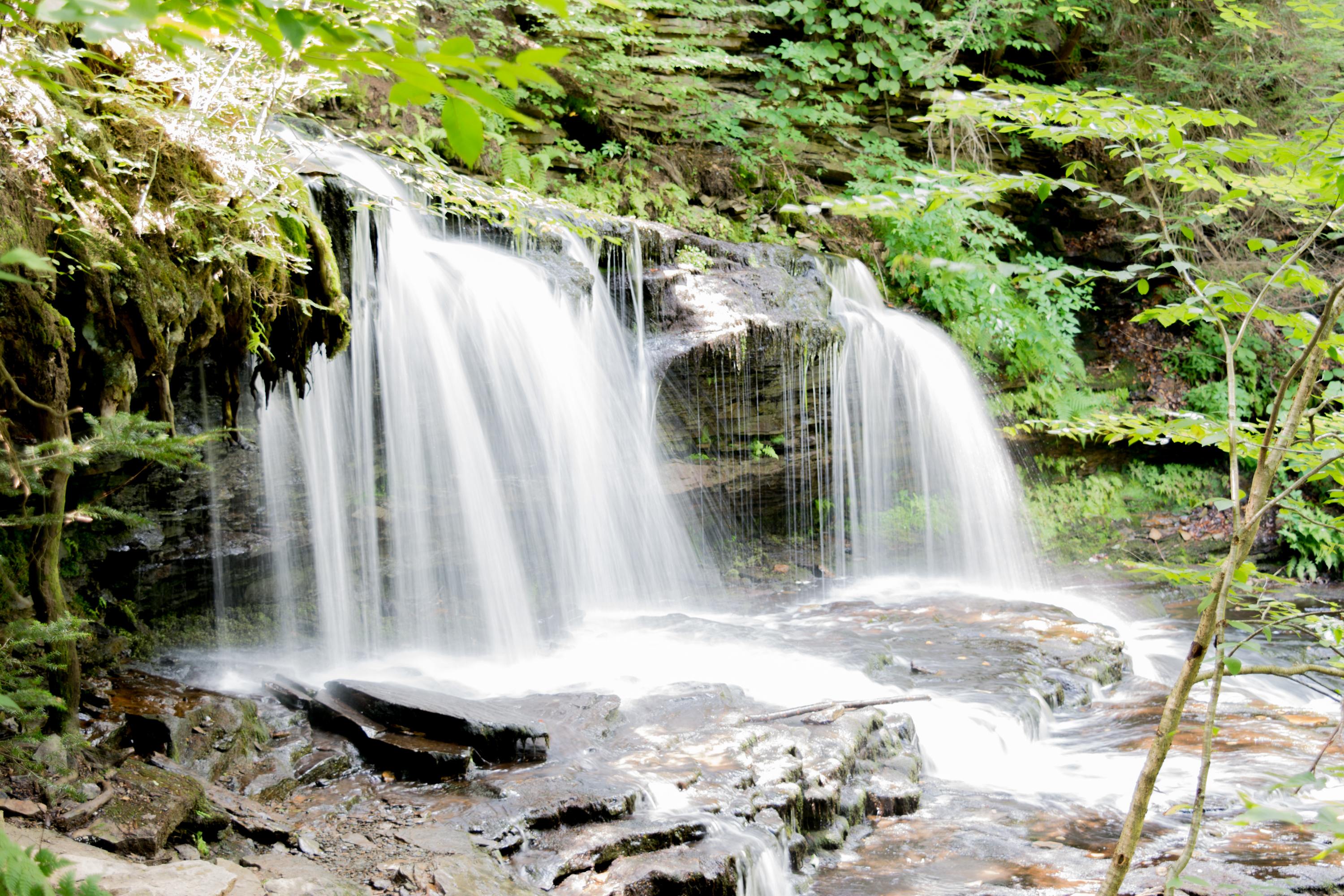 Ricketts Glen State Park