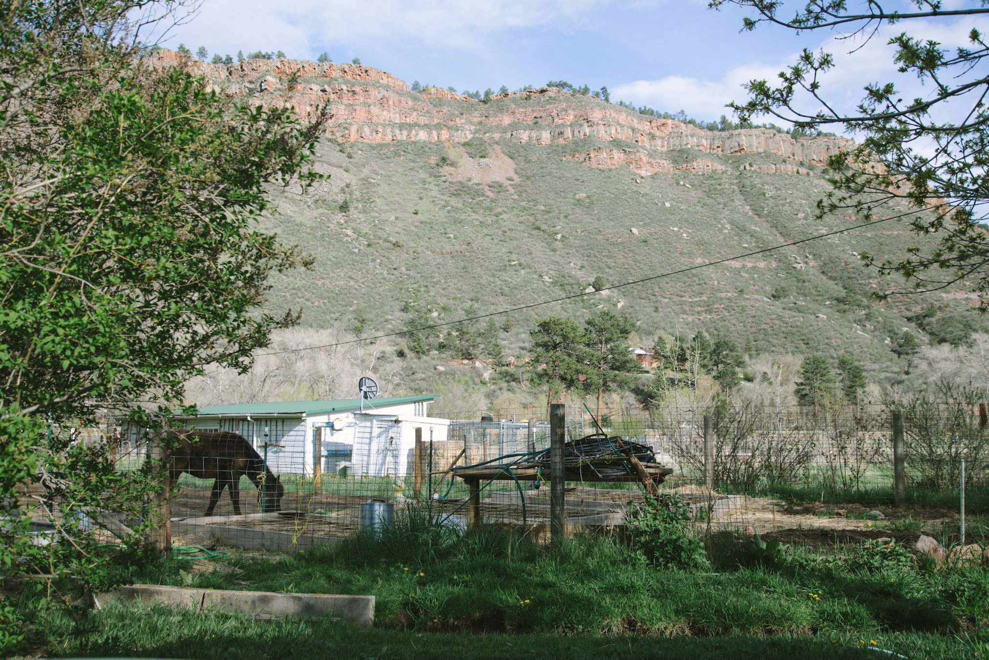 View from the little table by the camper