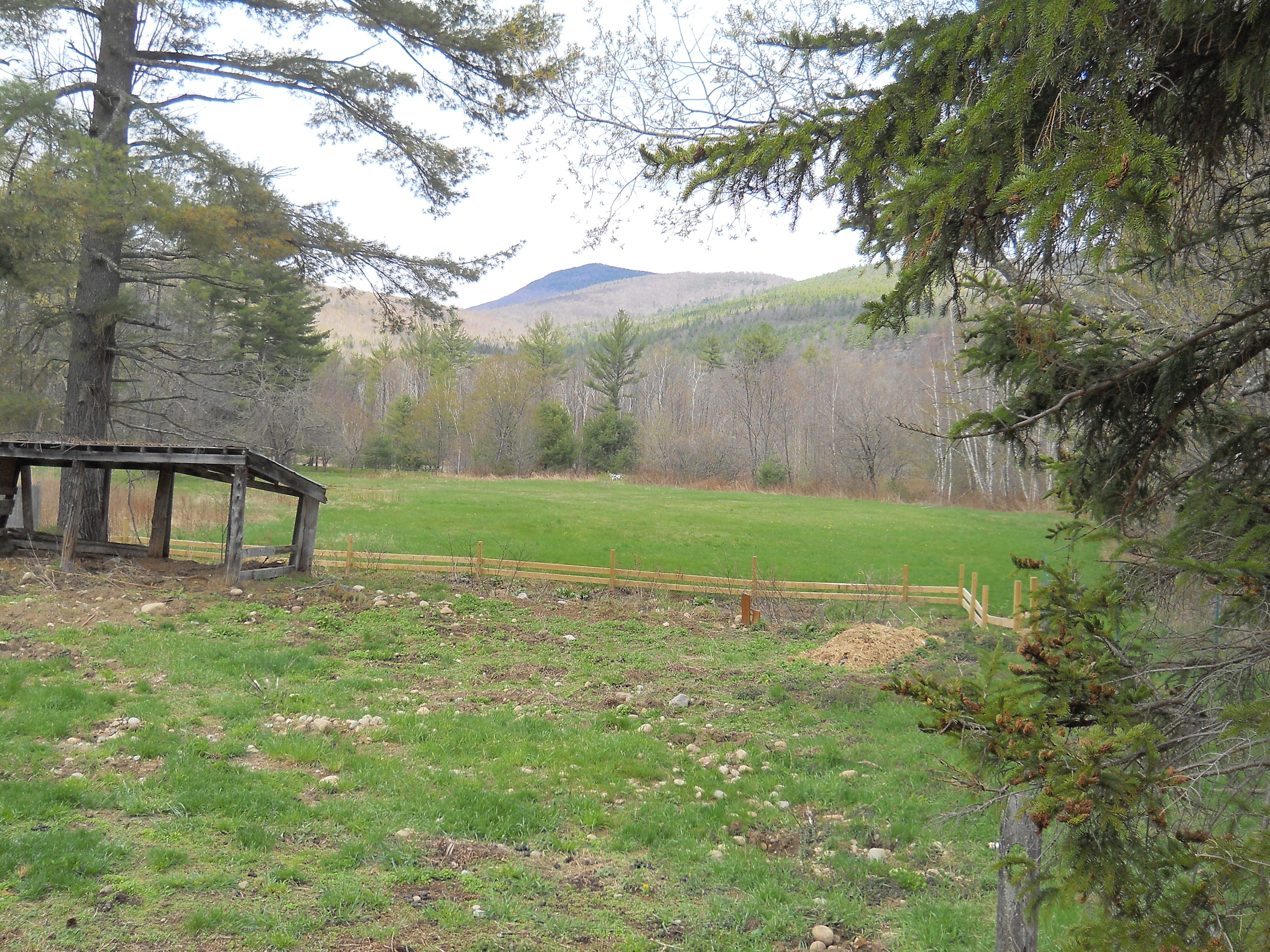 This is my backyard heaven/haven!!!
woods to the east/west, state rd 302 to south and river flowing on north side below trees with multi dimensional mountains. 