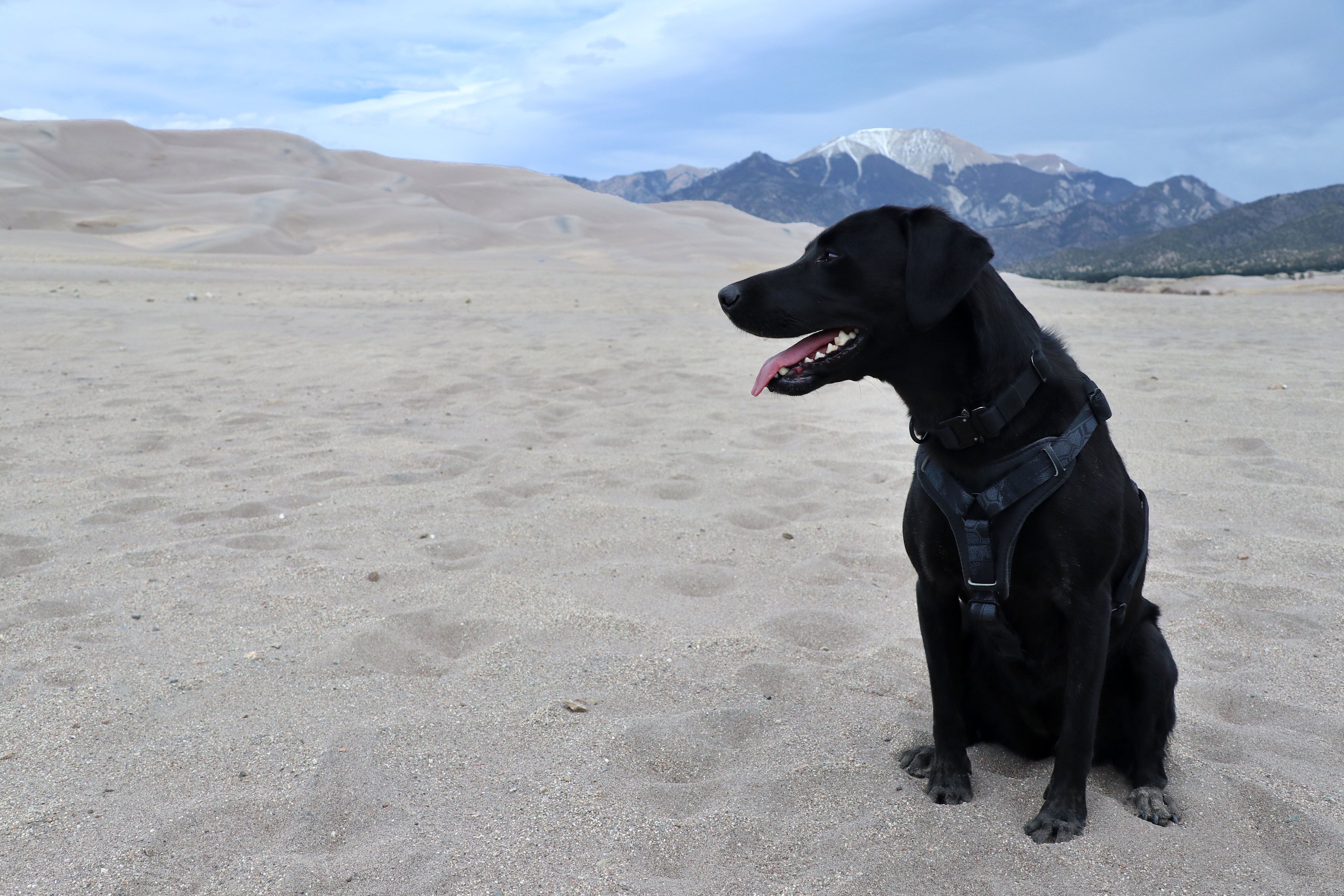 Sand Dunes Base Camp