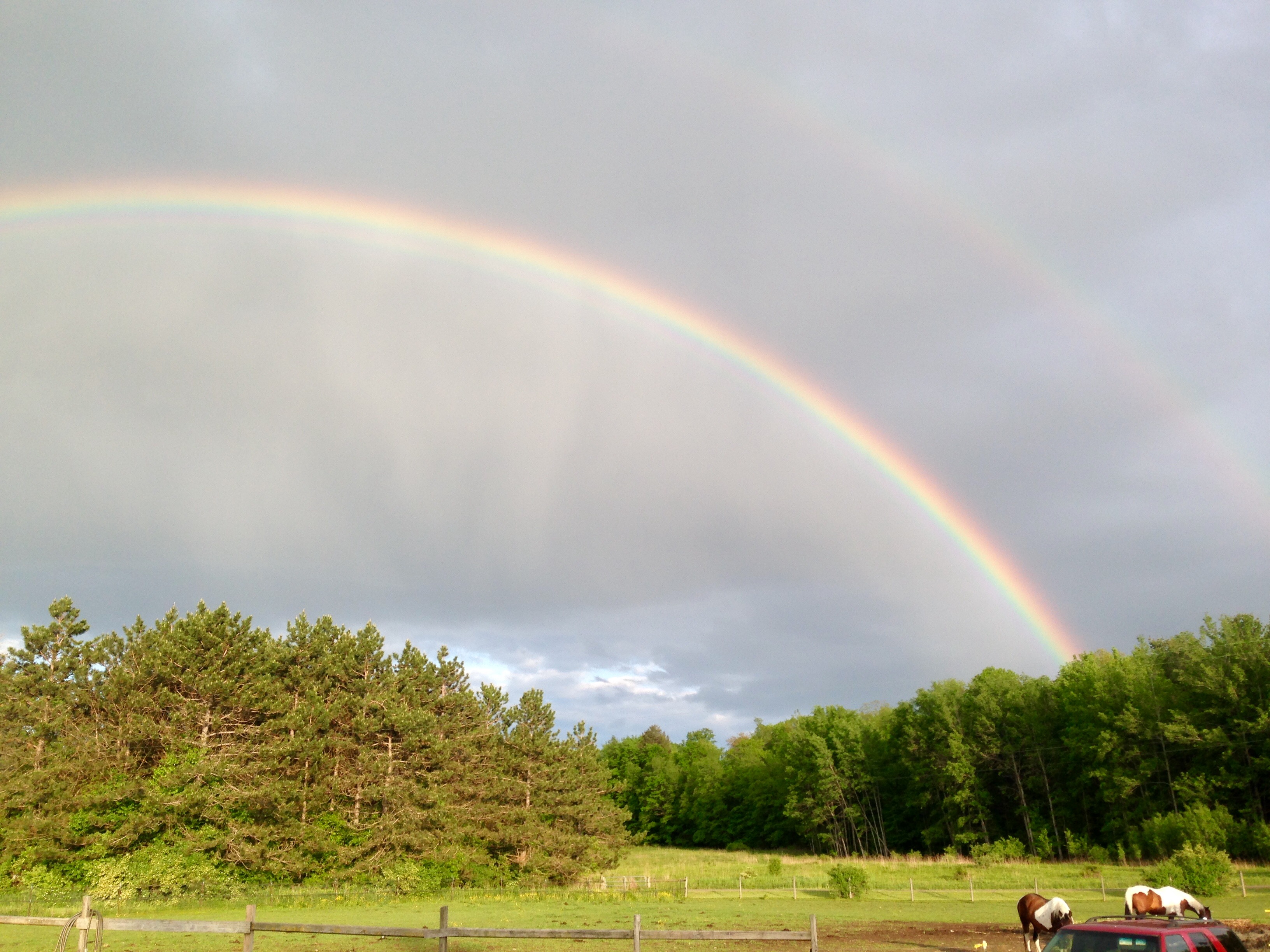 Come find your smile @ Sandbar Farm