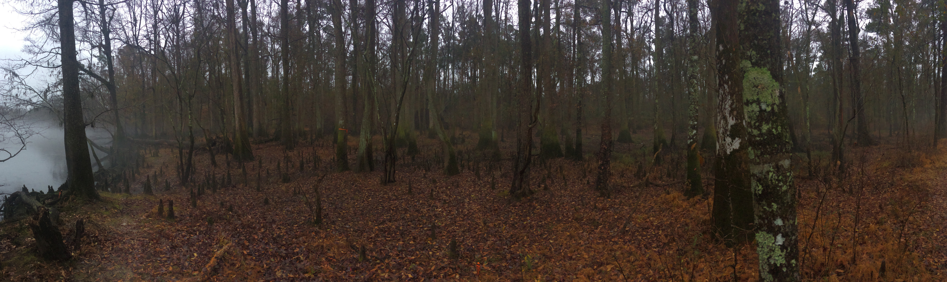 Instinct Earth Riverside Retreat