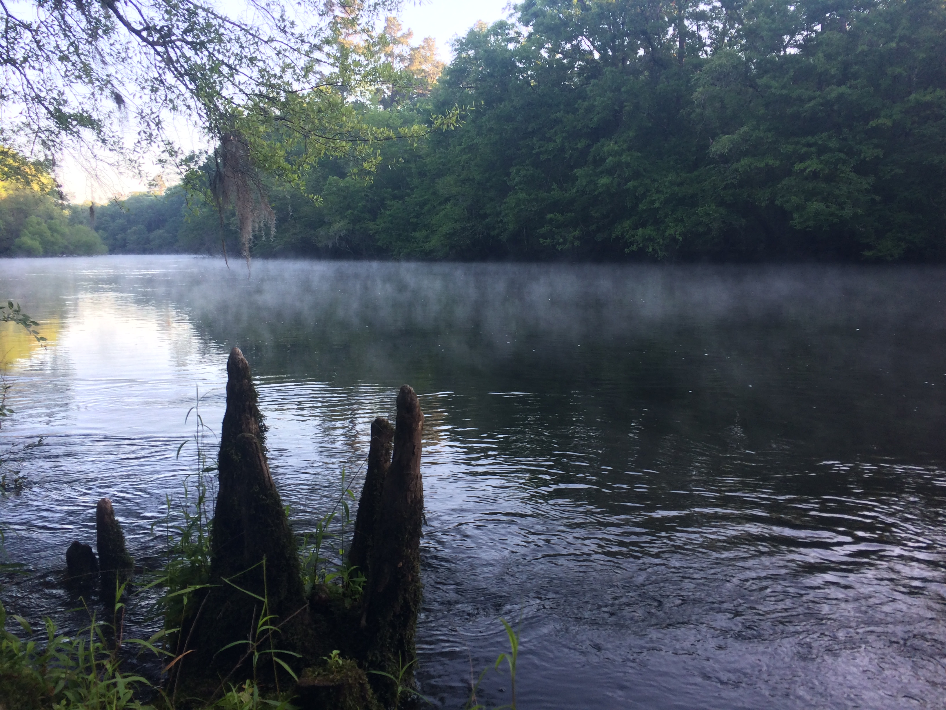 Instinct Earth Riverside Retreat