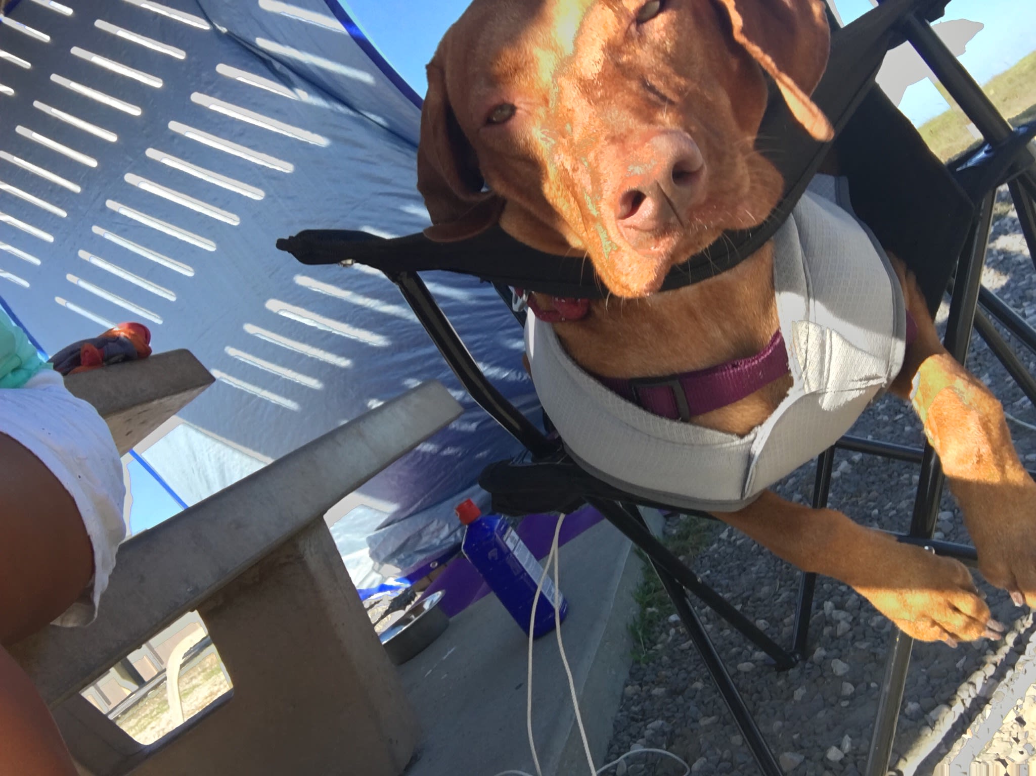 Padre Island National Seashore