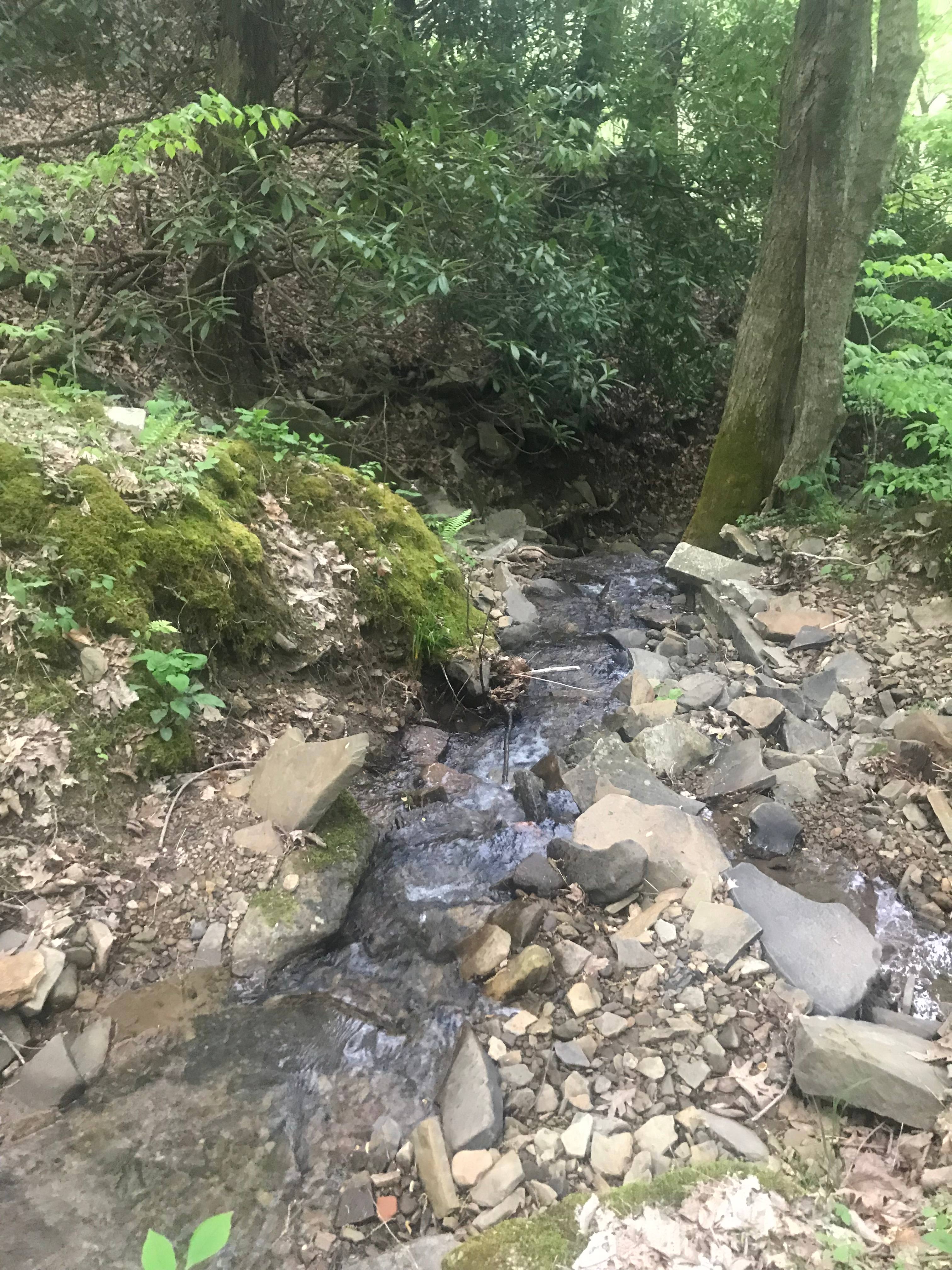 Small Stream by the Flat Land Campsites