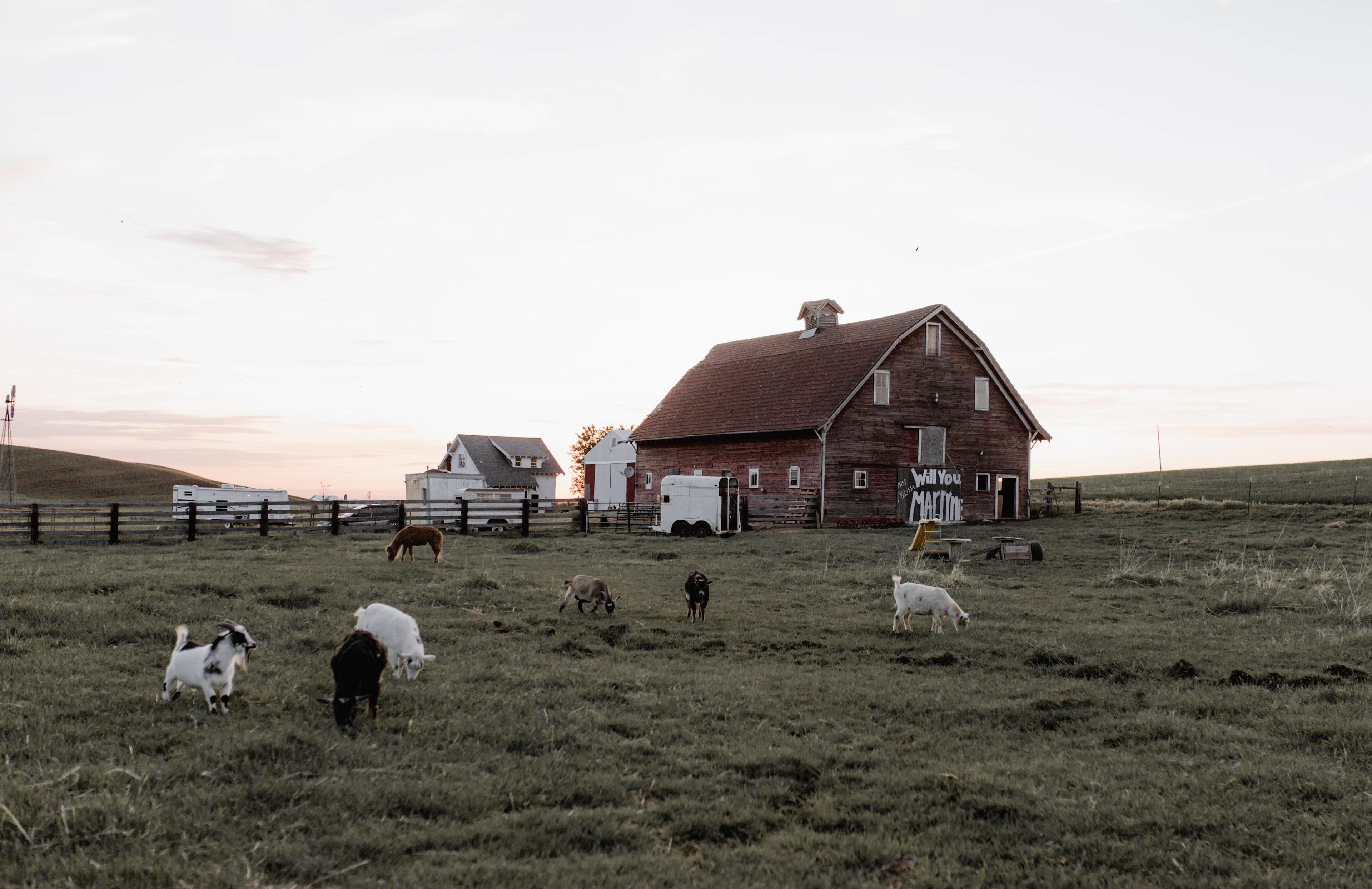The Old Weber Farm