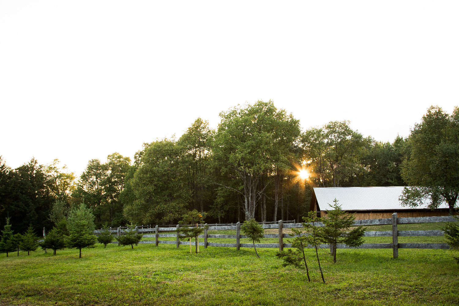 Trailside Ranch Cabin Rentals