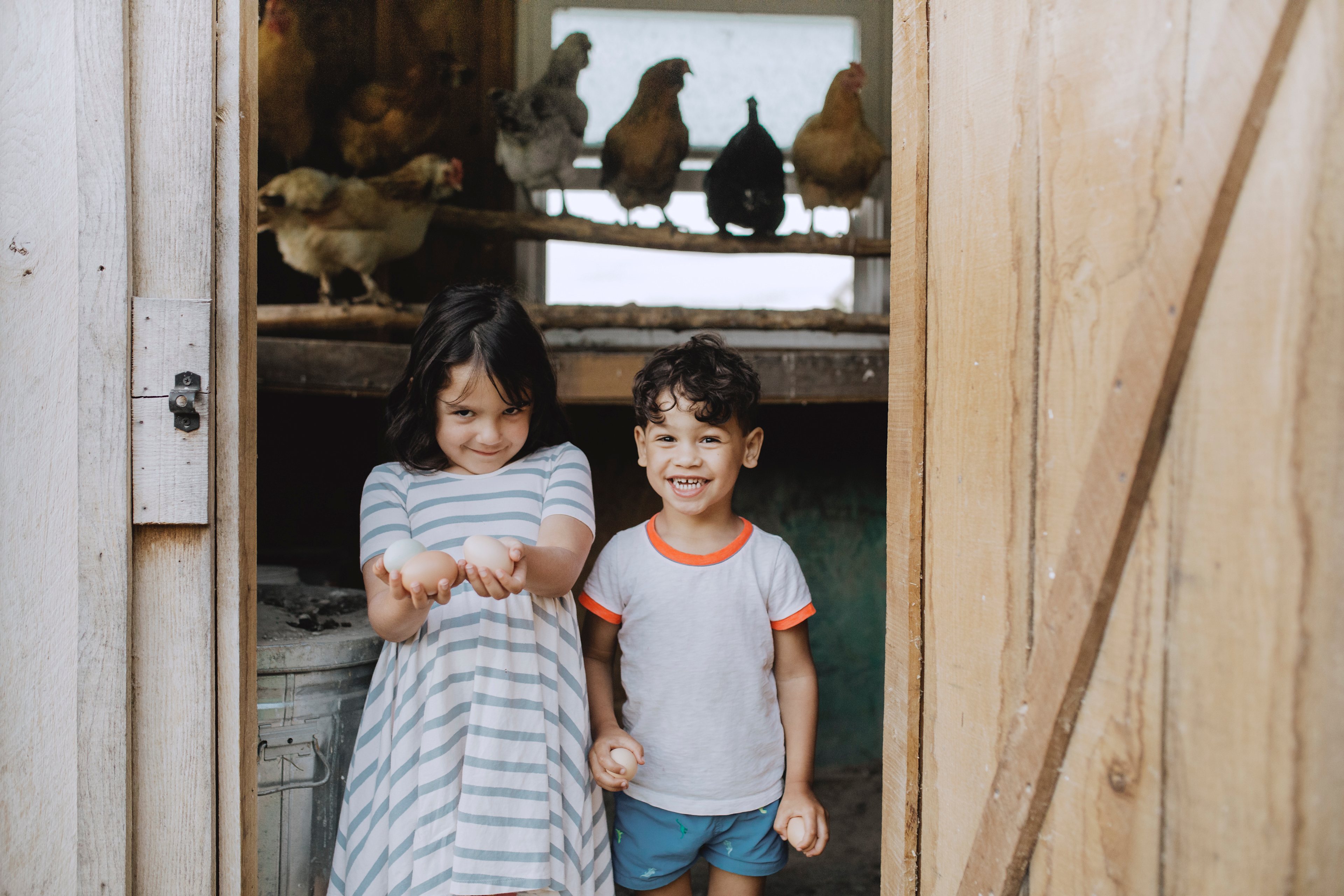 The children (with guidance) were able to gather fresh eggs for our breakfast!