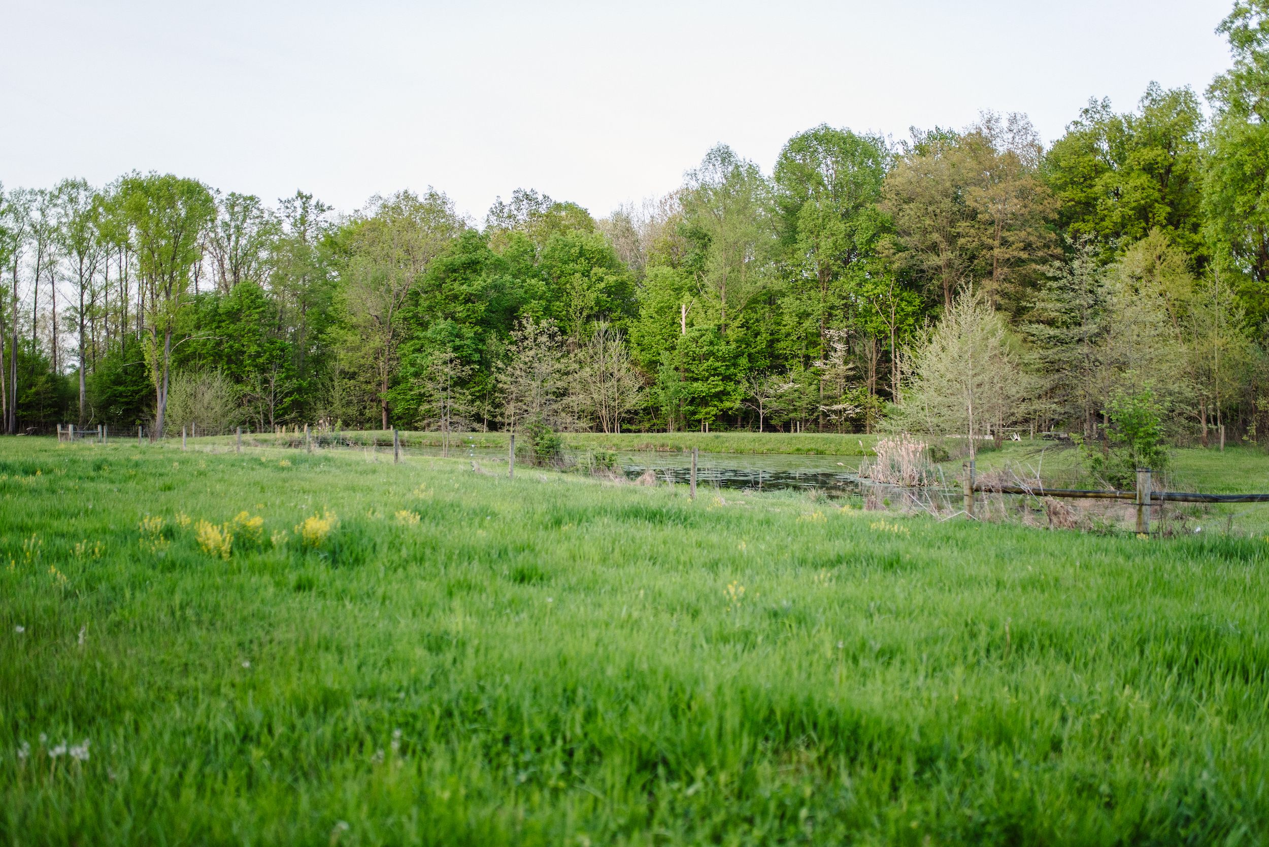 This was the perfect quiet little area to camp and enjoy nature!