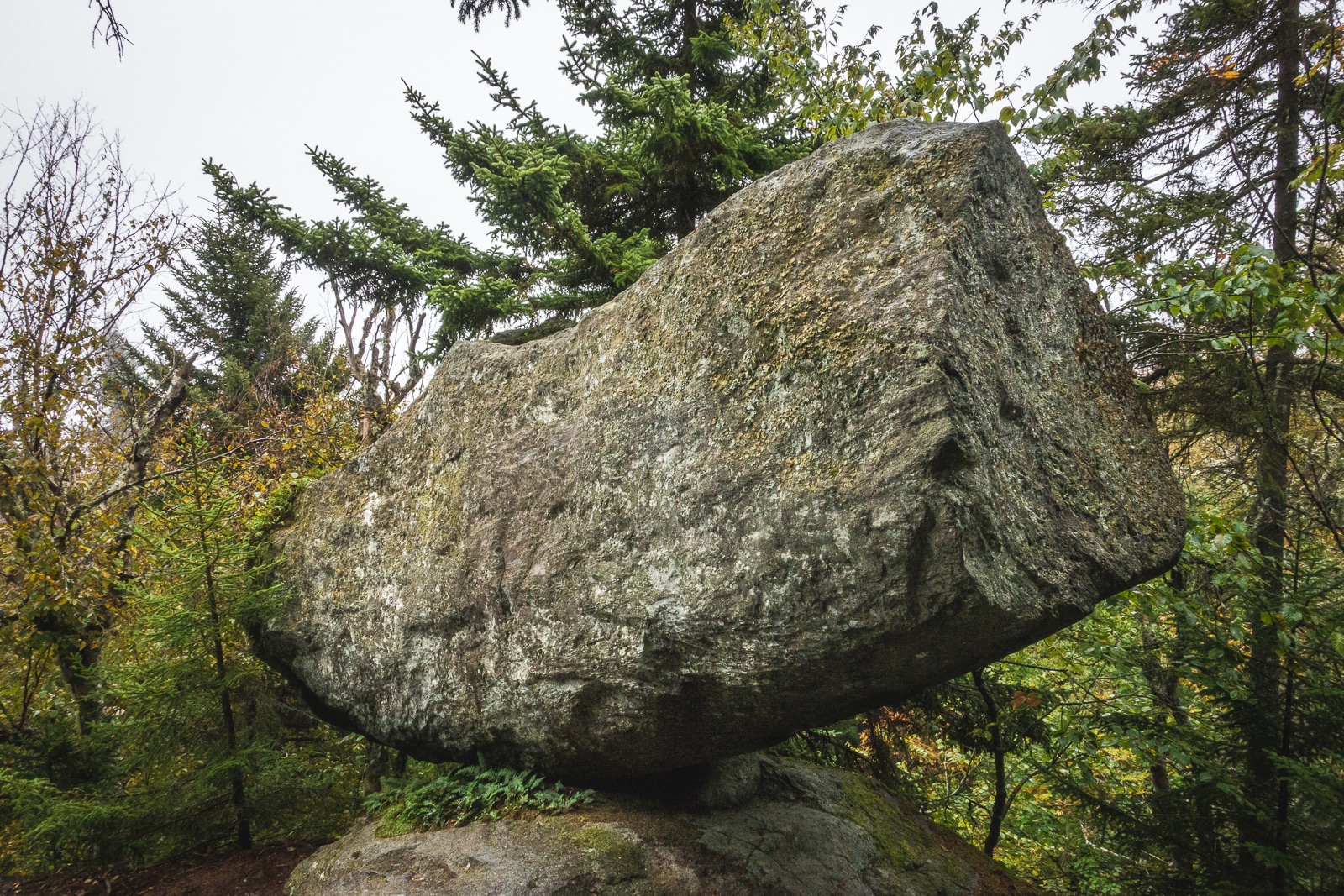 Hiking the Elmore Mountain Fire Tower Trail.