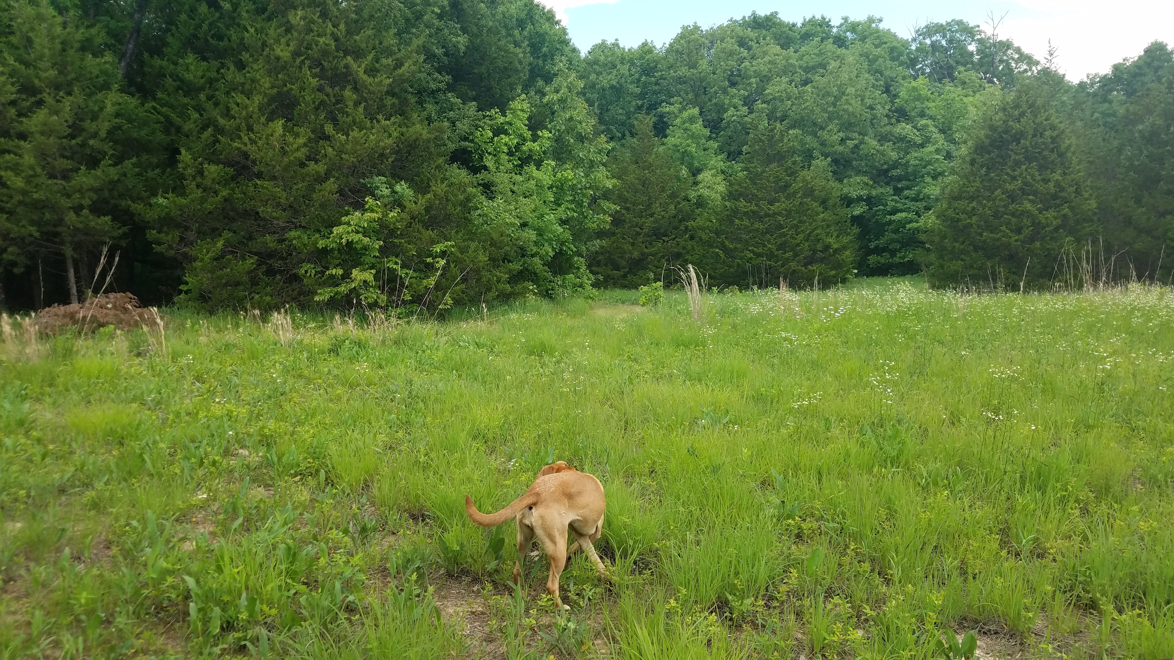 On the way to site 3