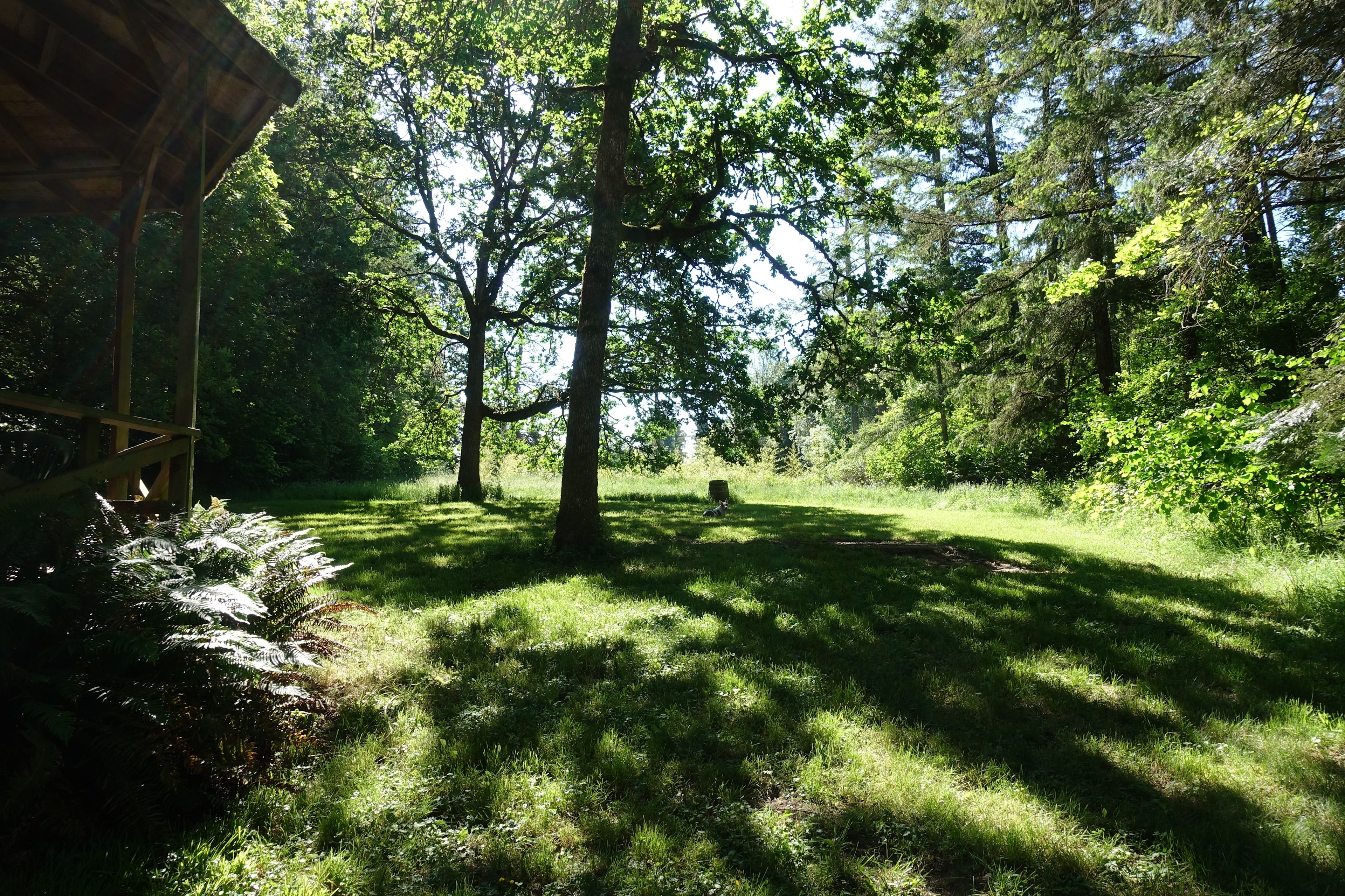 The meadows with Gazebo. 

Forest to the left and right. Camping spot behind me. Path to parking and bathroom in front.