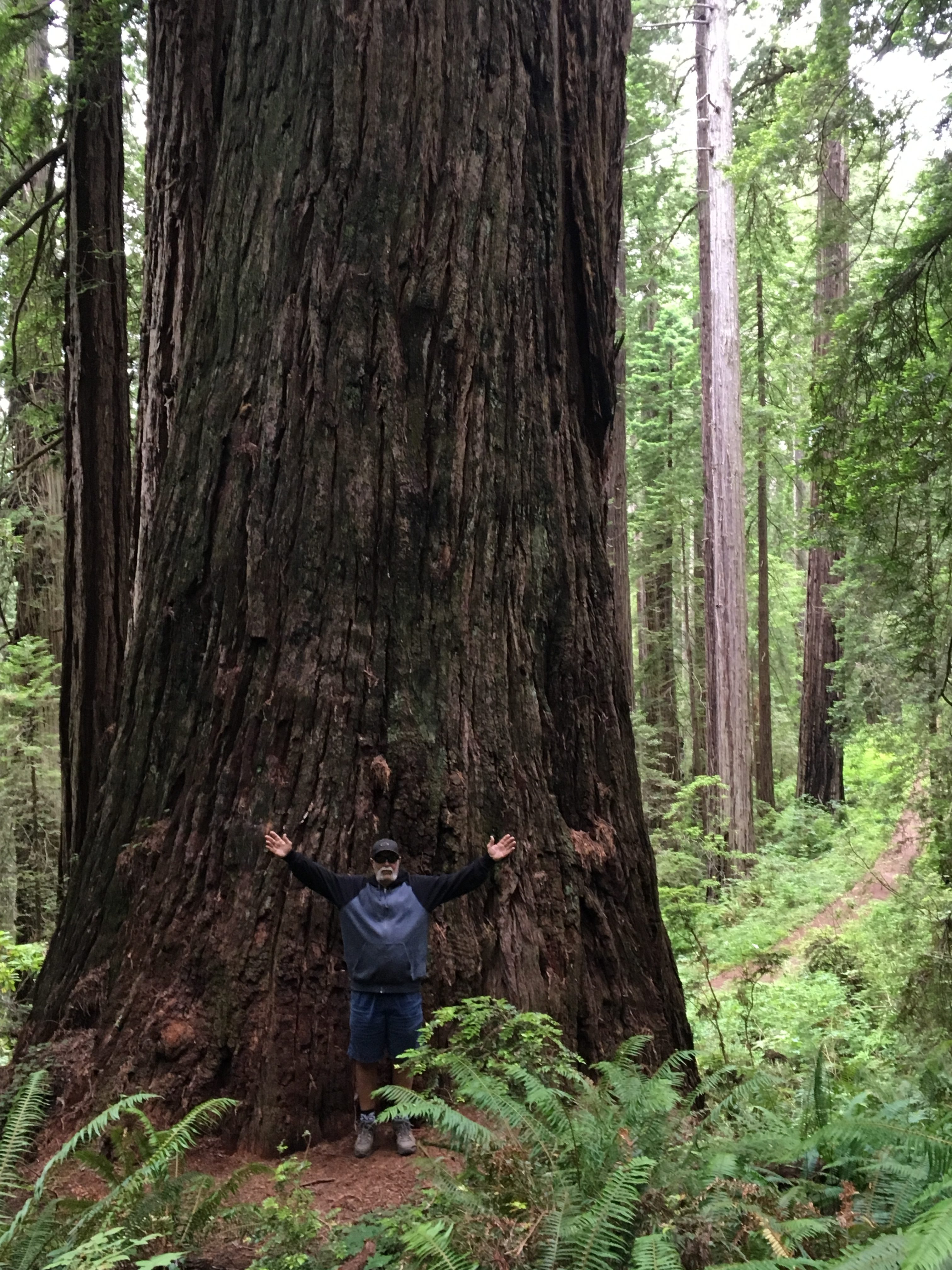 Mill Creek Campground