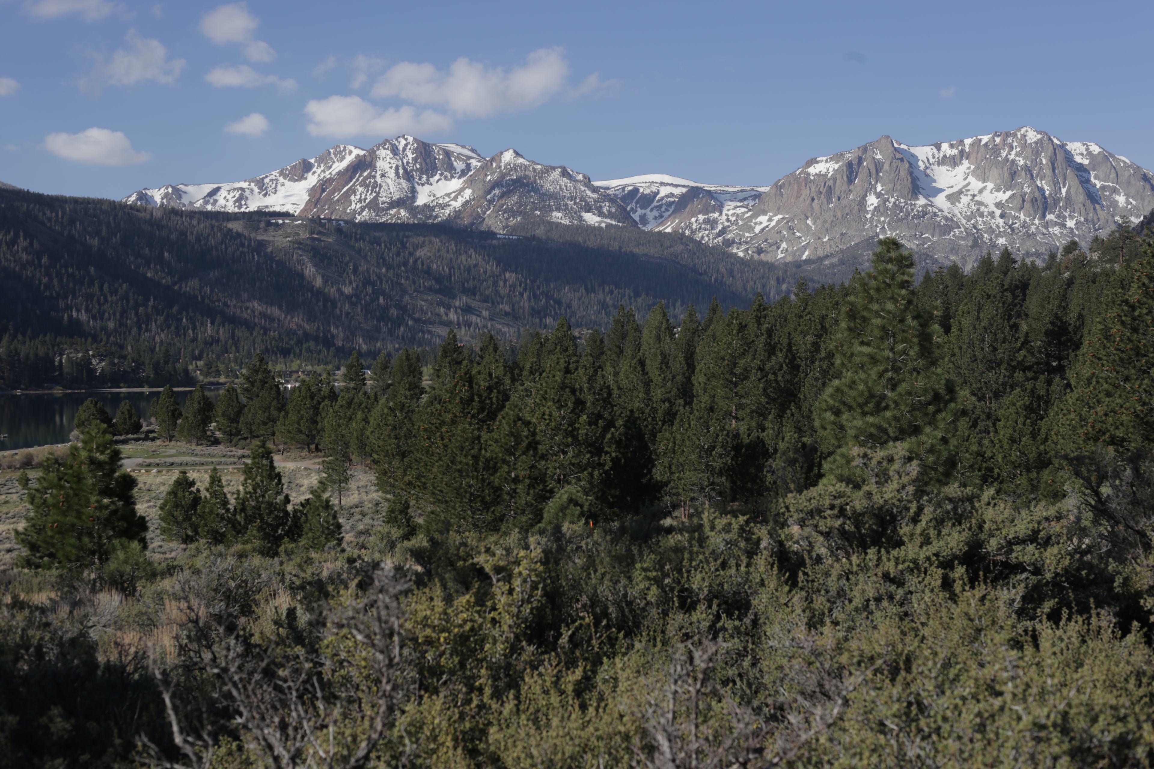 View from Site #6