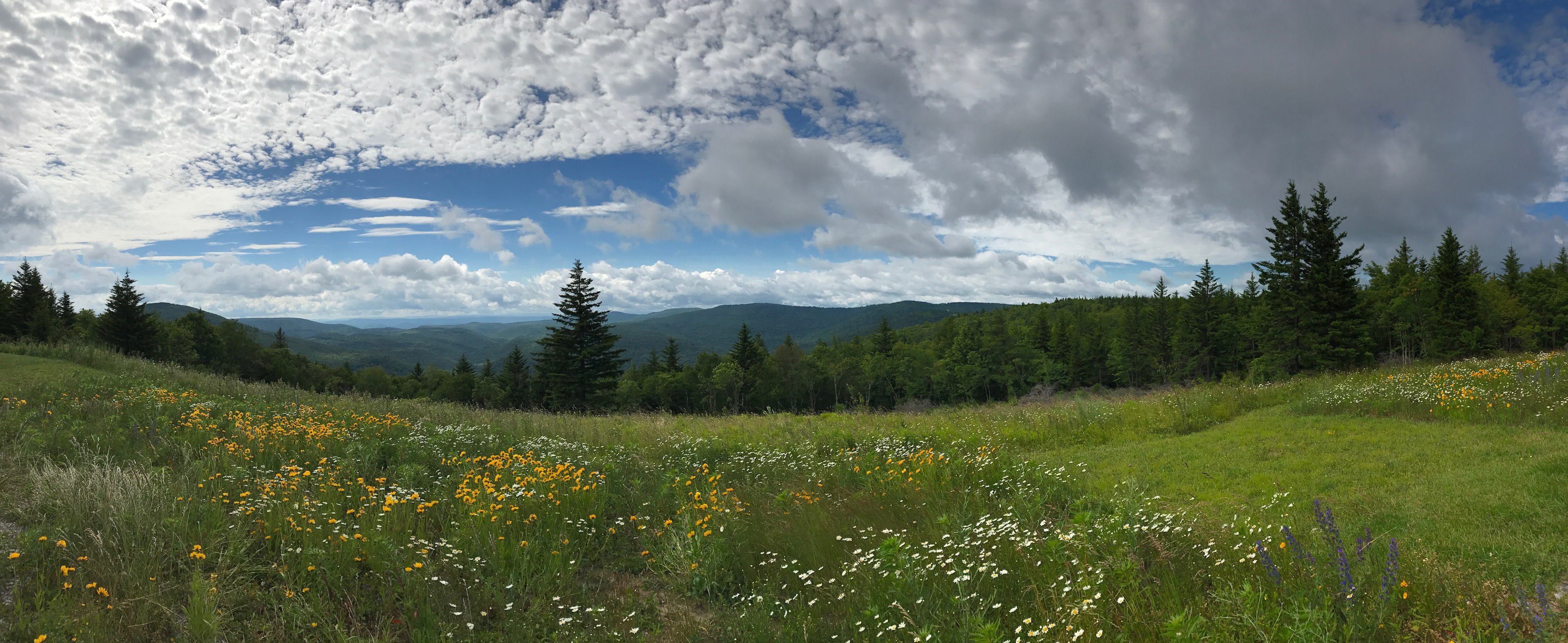 Views from WV 150 / Highland Scenic Highway