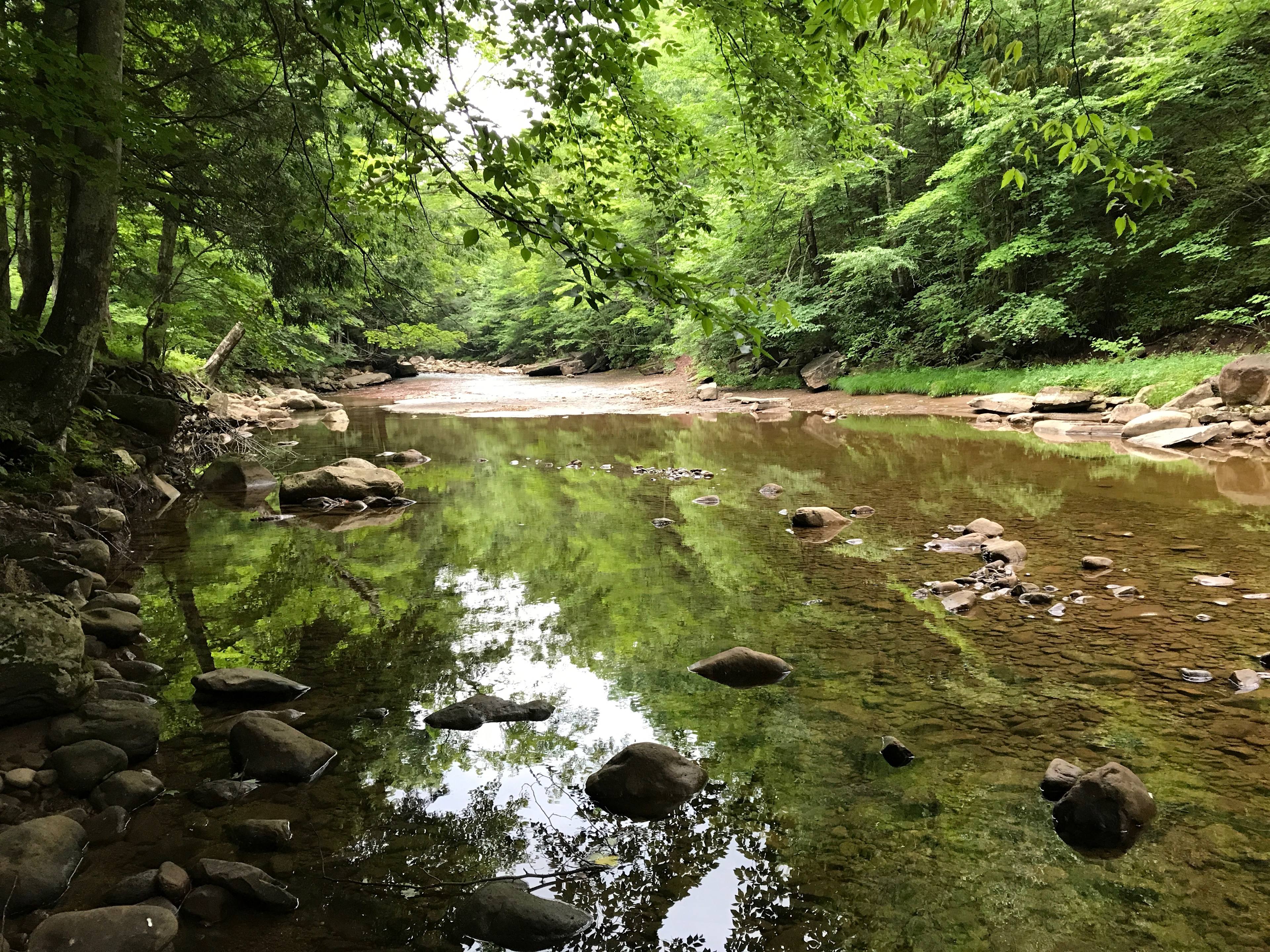 Tea Creek accessible from site 23.
