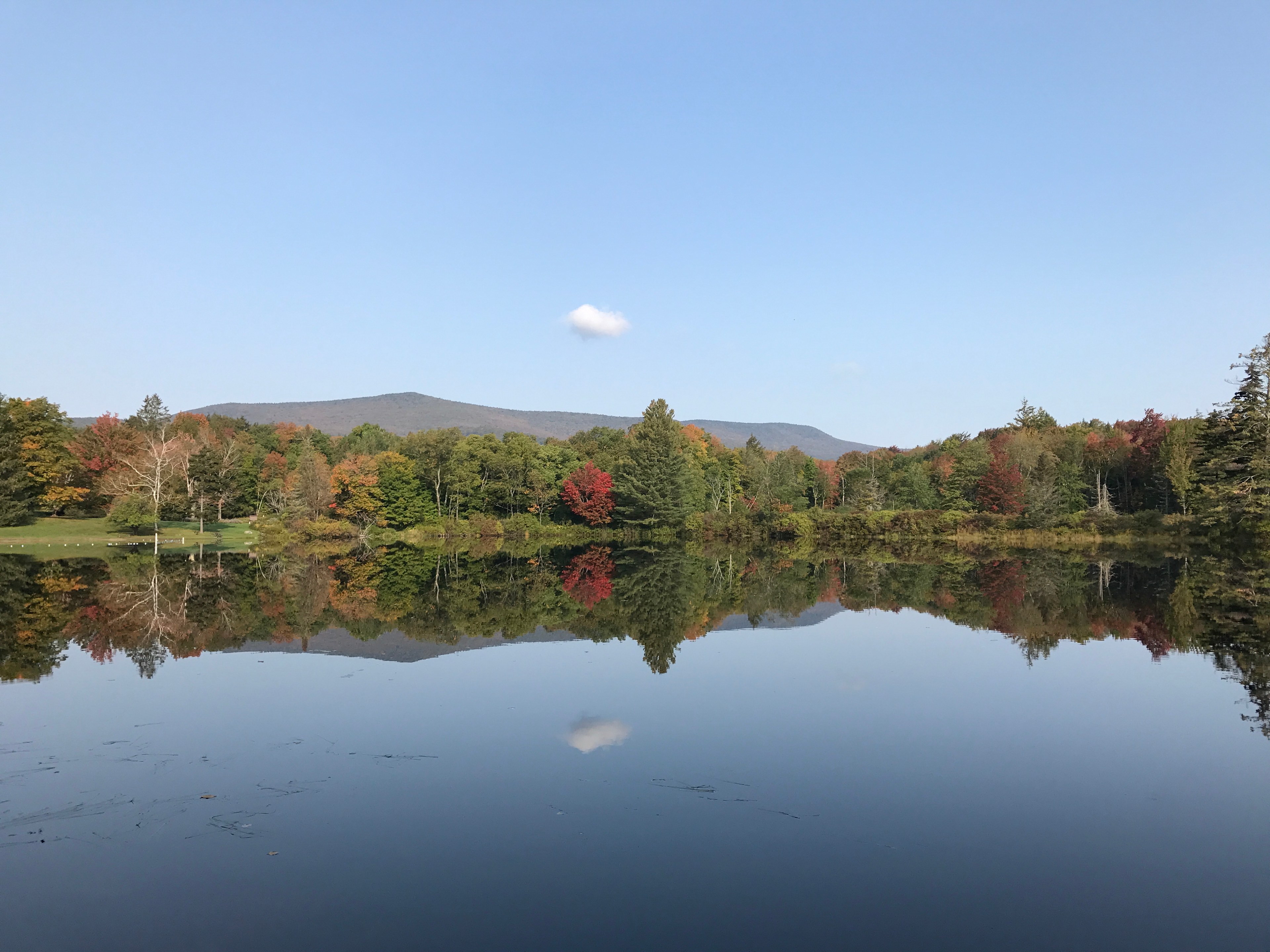 Leaves just starting to change color at Hapgood Pond in mid-September.