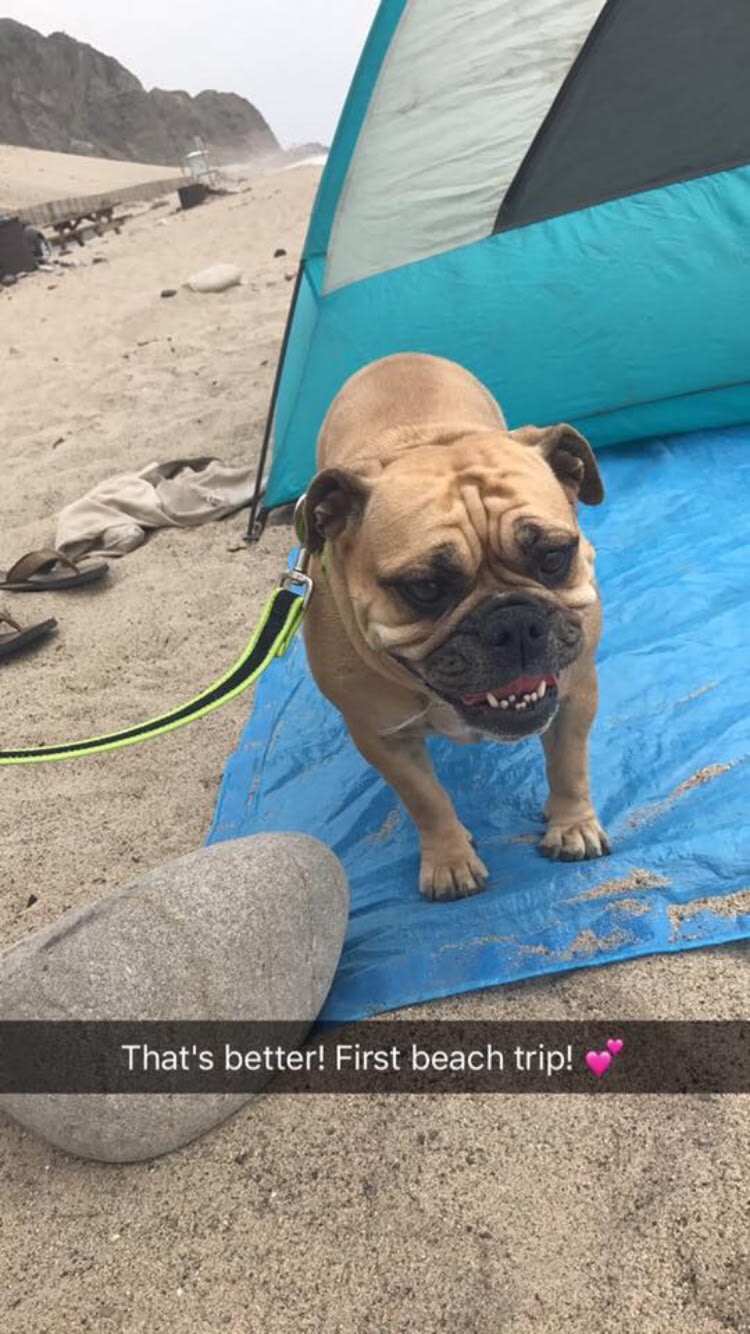 Malibu Lagoon State Beach