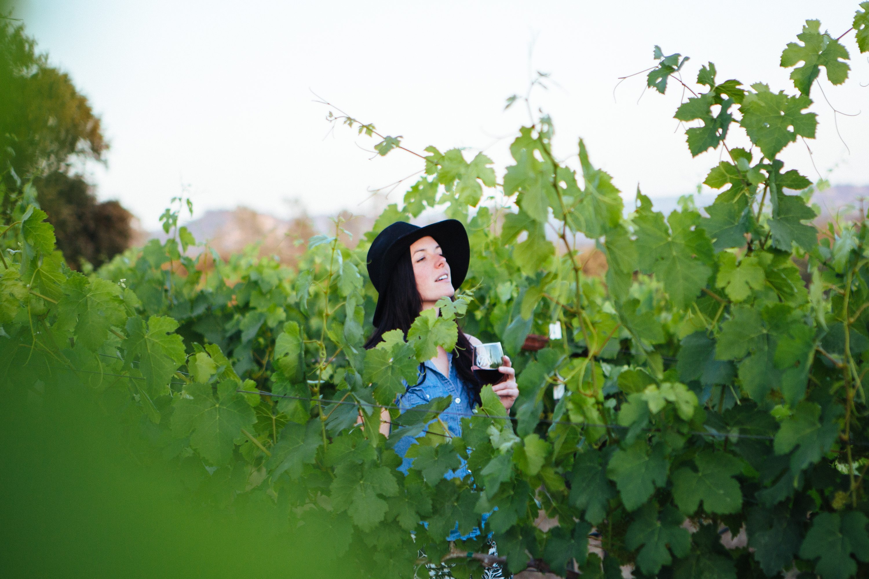 Hickman Family Vineyards