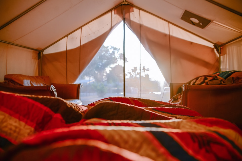 Greeted by the morning sun 