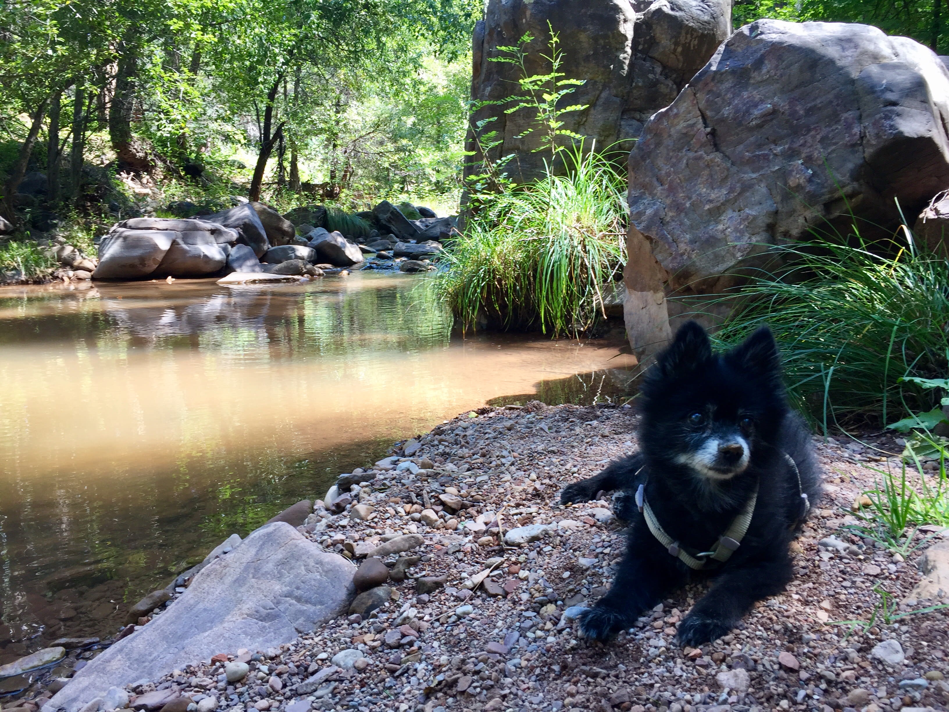 Christopher Creek Campground