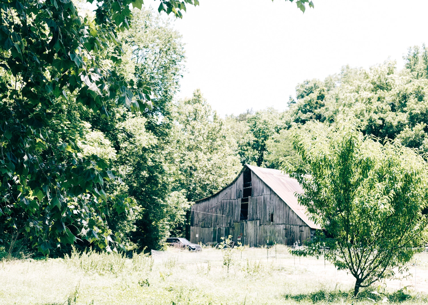 You'll park at the barn and walk to your campsite. 