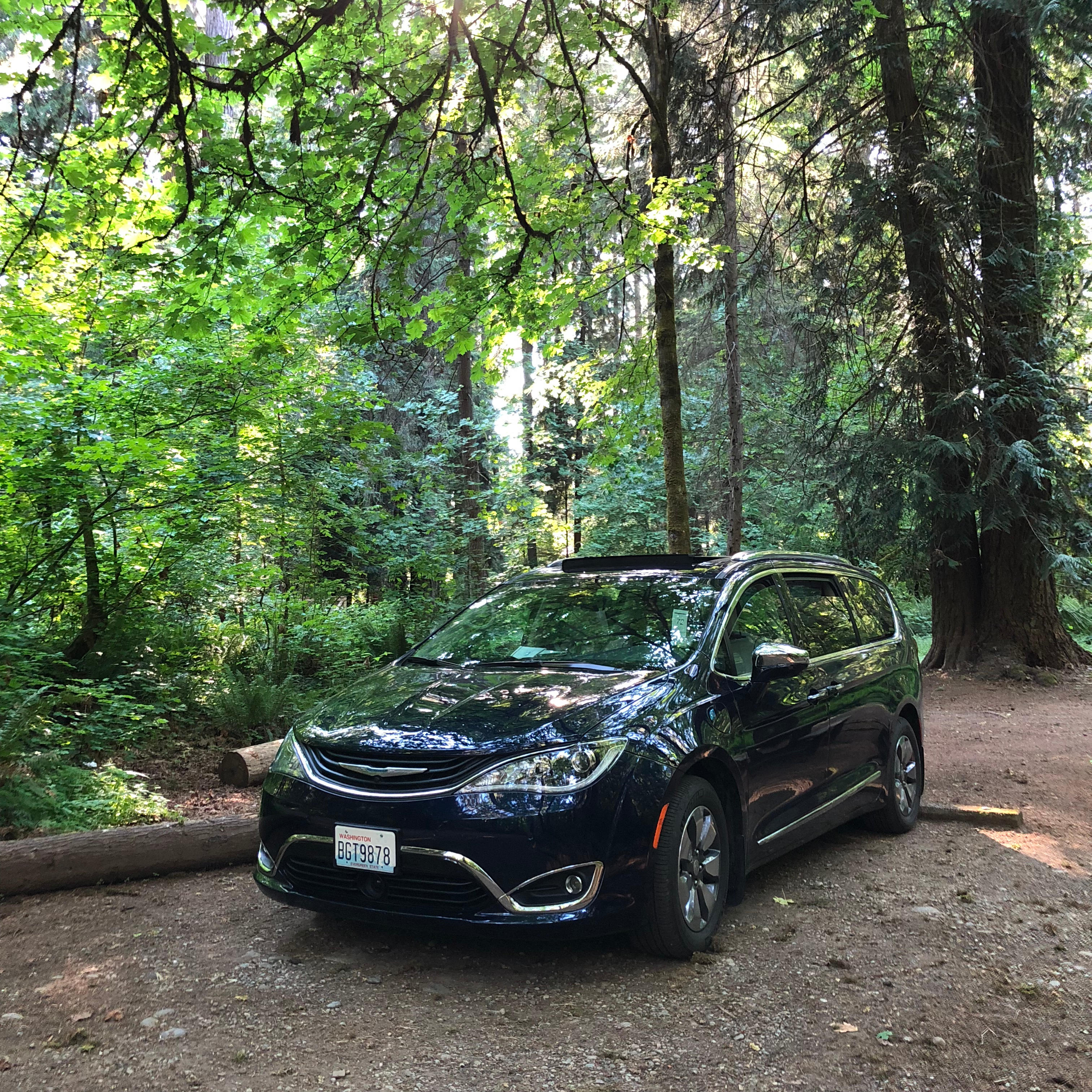 Campsite #72. (They're all good : ) Waking up here with trees all around and through my moon roof.  I came across this campground unexpectedly and loved every minute.